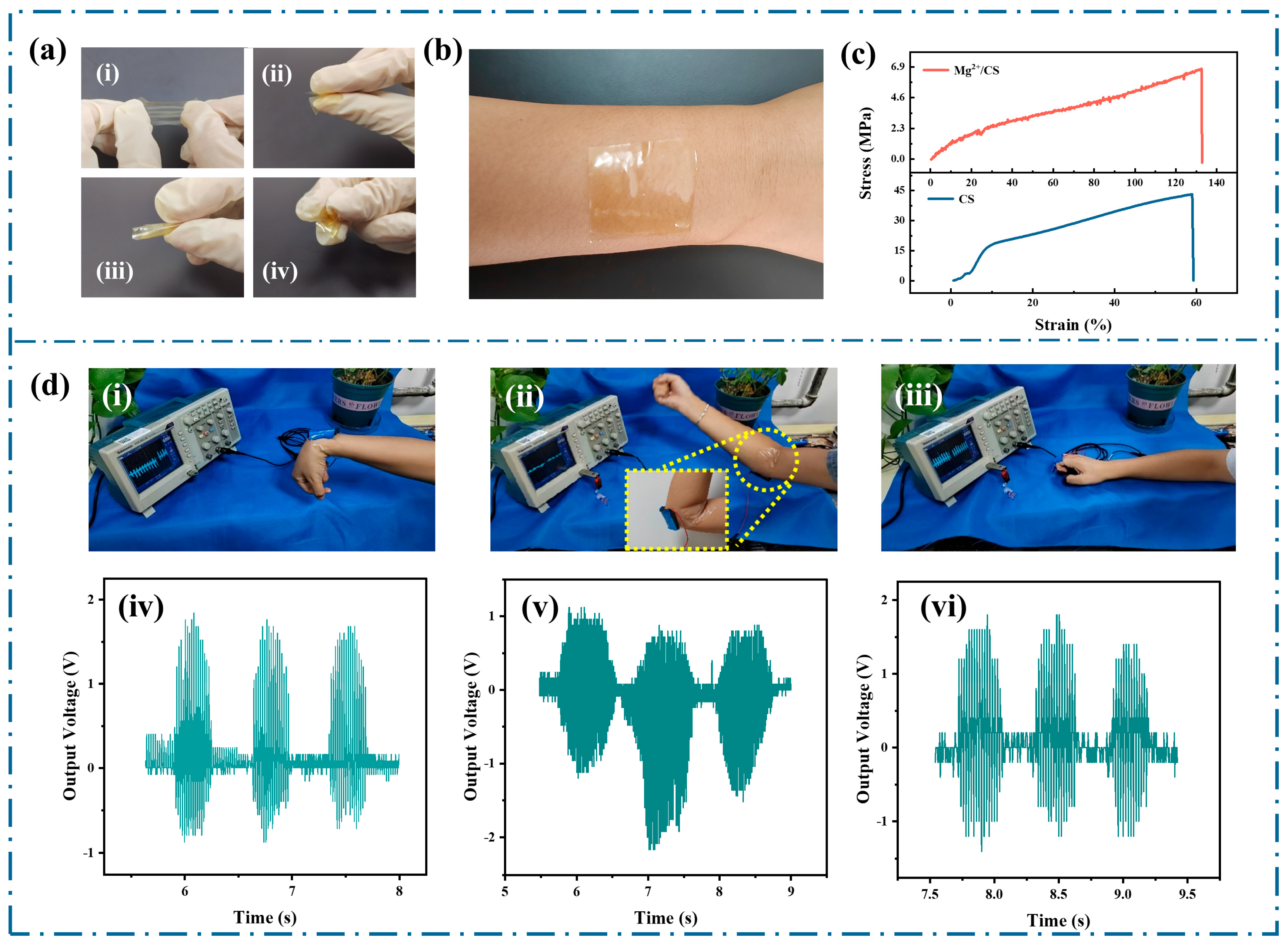 Polymers 17 01001 g005