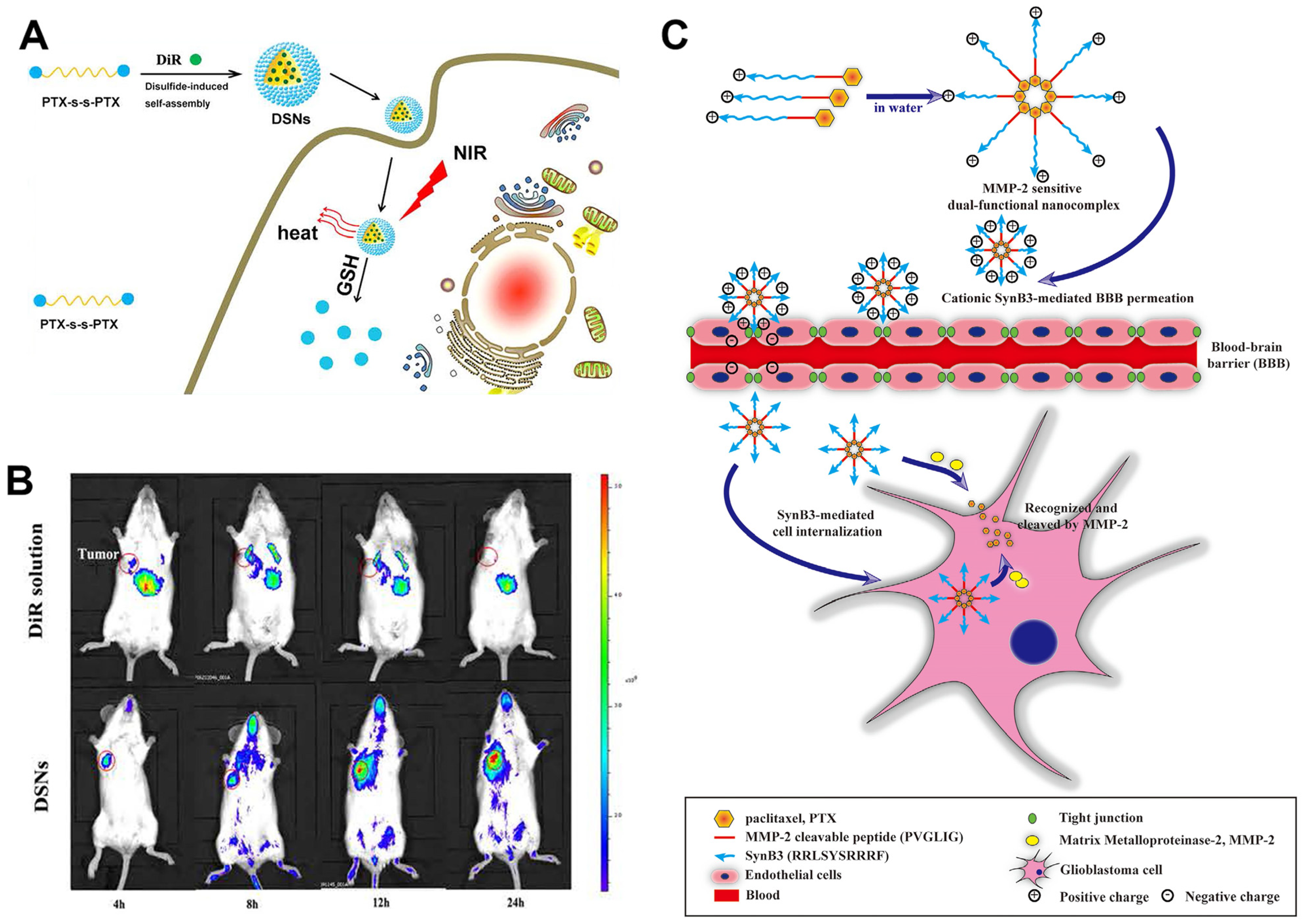 Polymers 17 01010 g003 Polymers 17 01010 g003