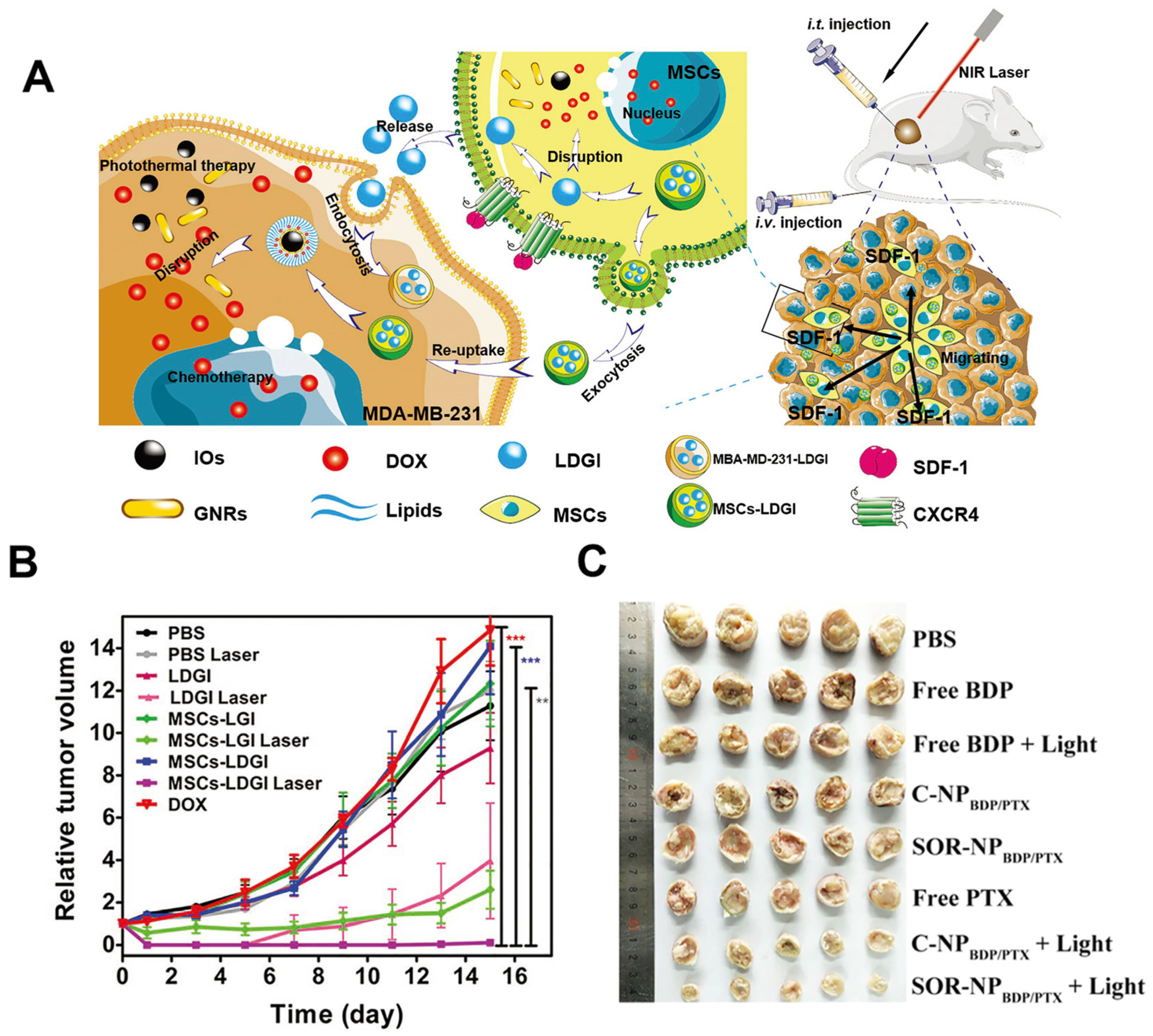 Polymers 17 01010 g004 Polymers 17 01010 g004