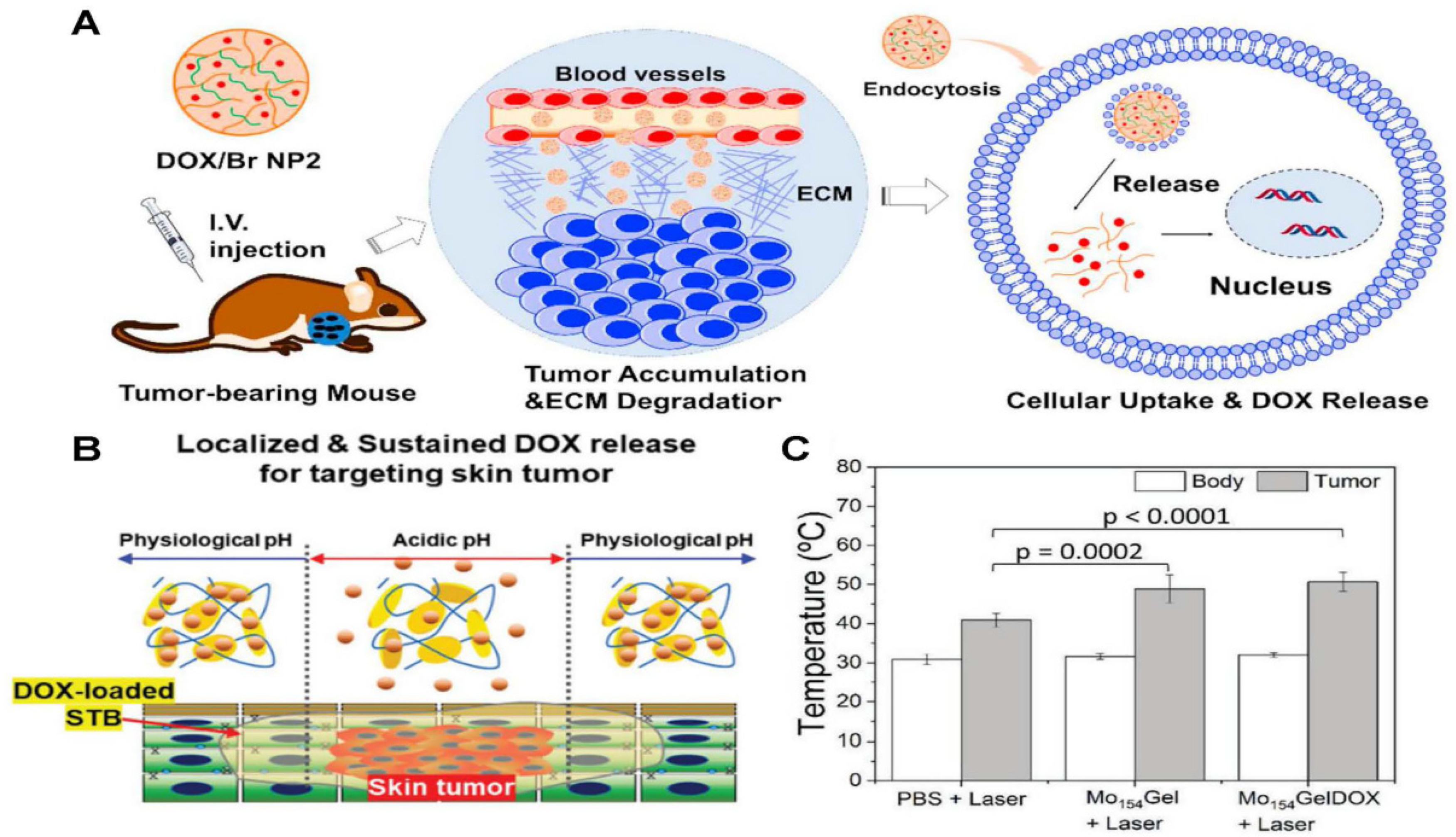 Polymers 17 01010 g005 Polymers 17 01010 g005