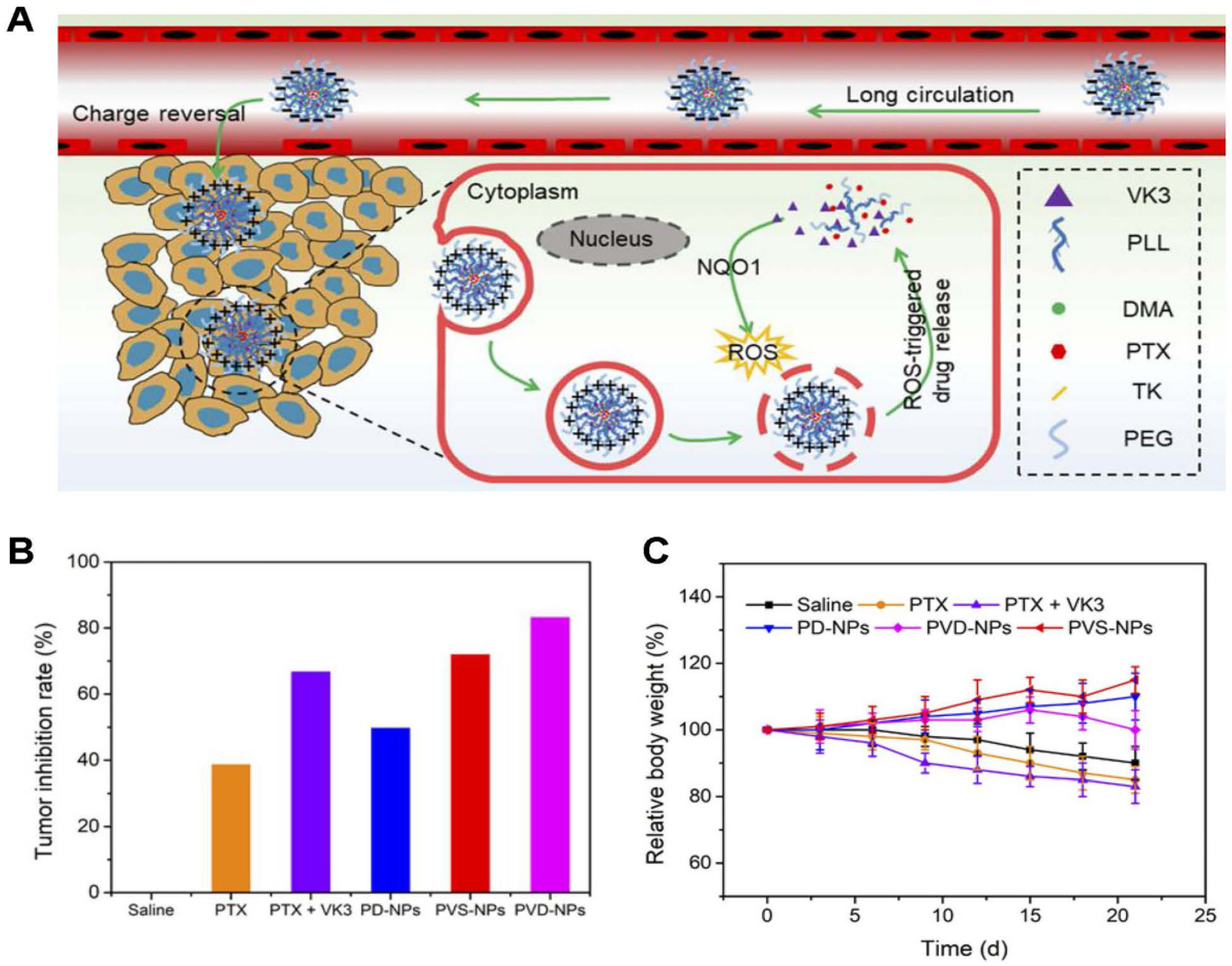 Polymers 17 01010 g010 Polymers 17 01010 g010
