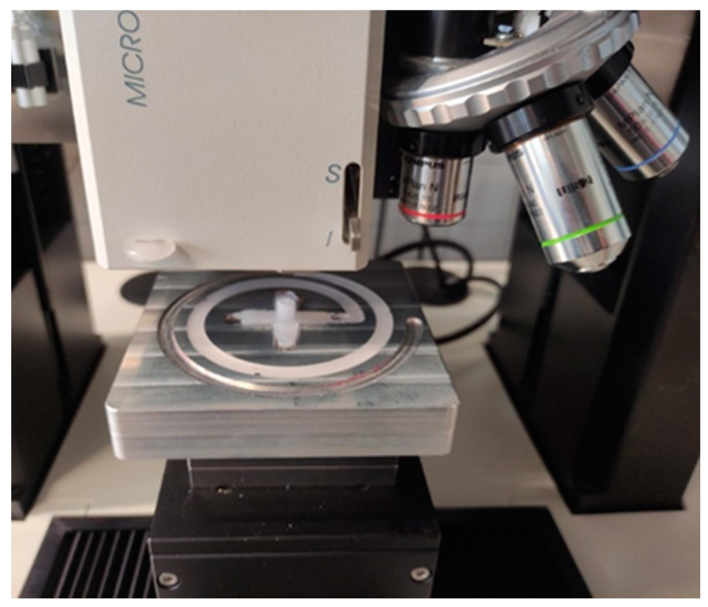 Polymers 17 01012 g002