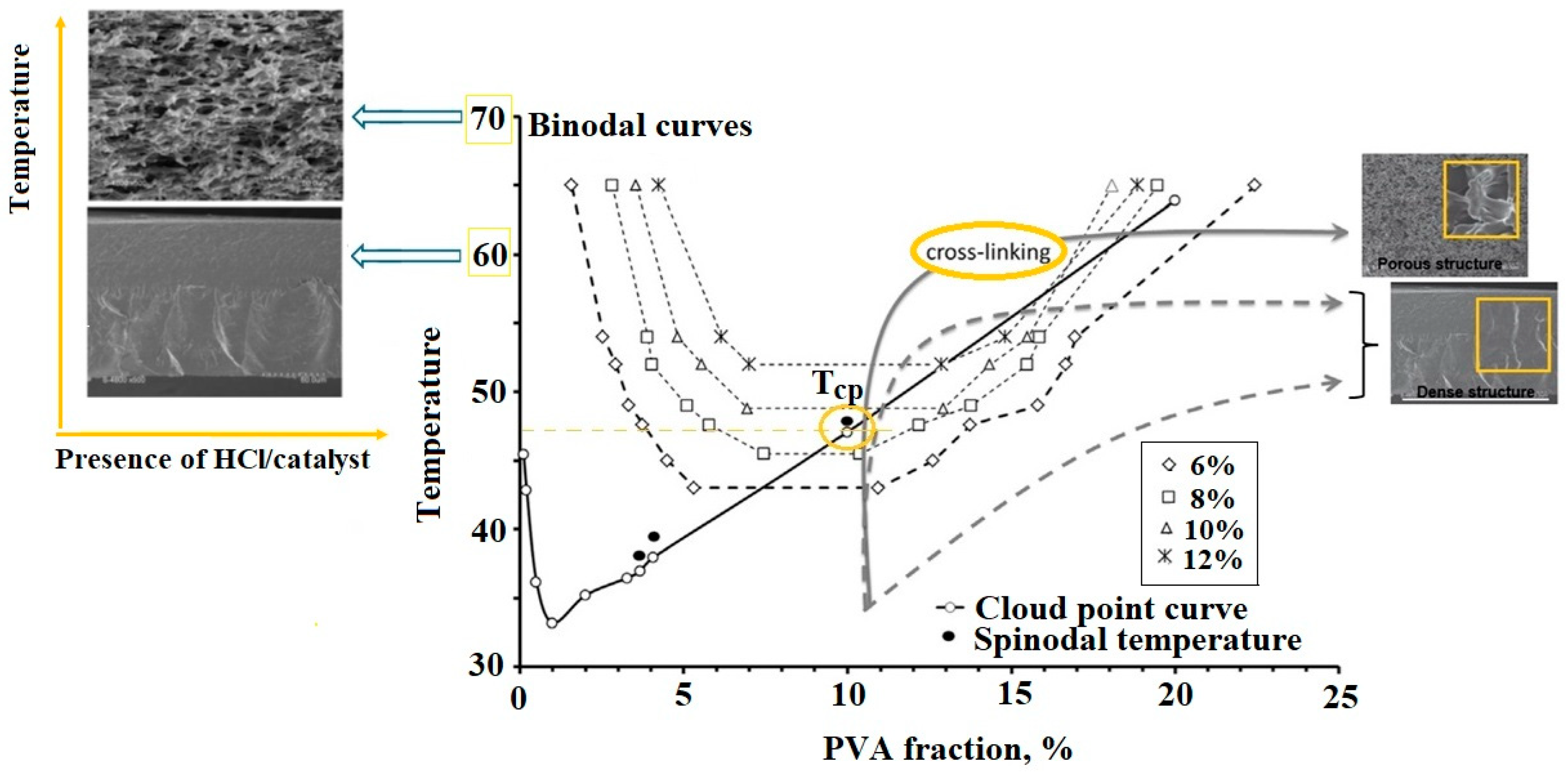 Polymers 17 01016 g003