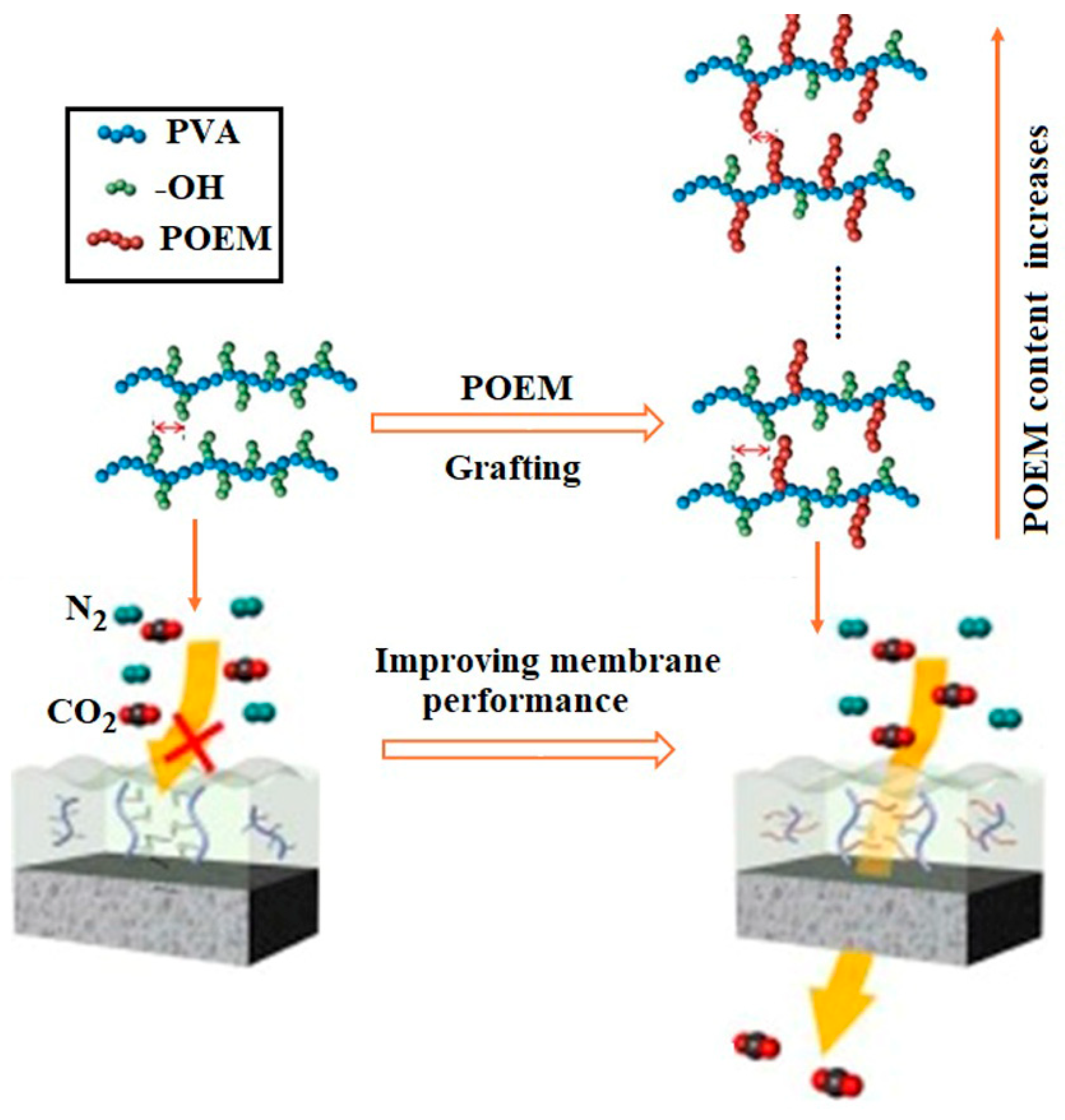 Polymers 17 01016 g004