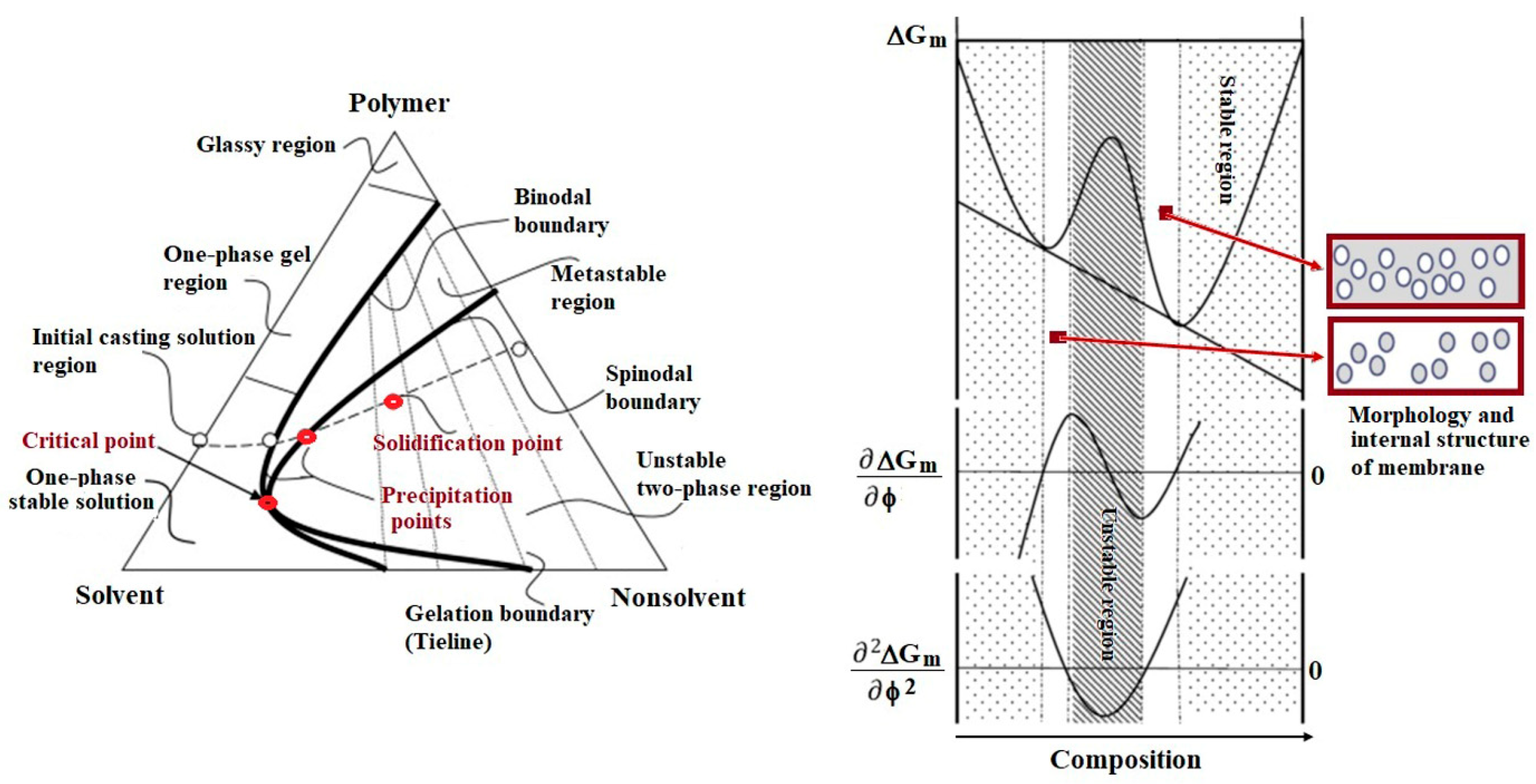 Polymers 17 01016 g005