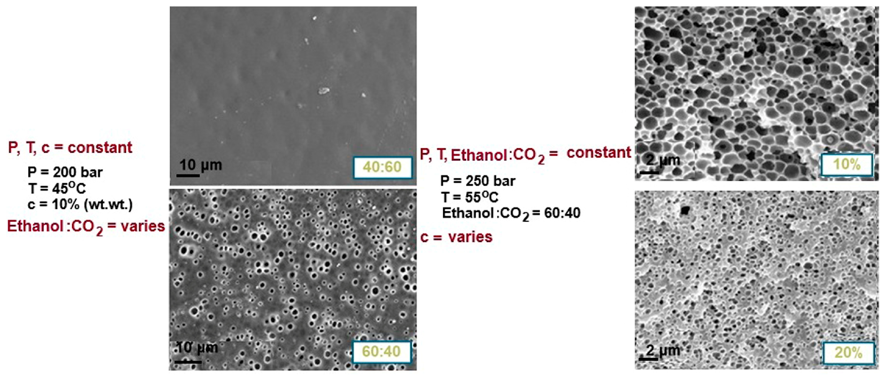 Polymers 17 01016 g008