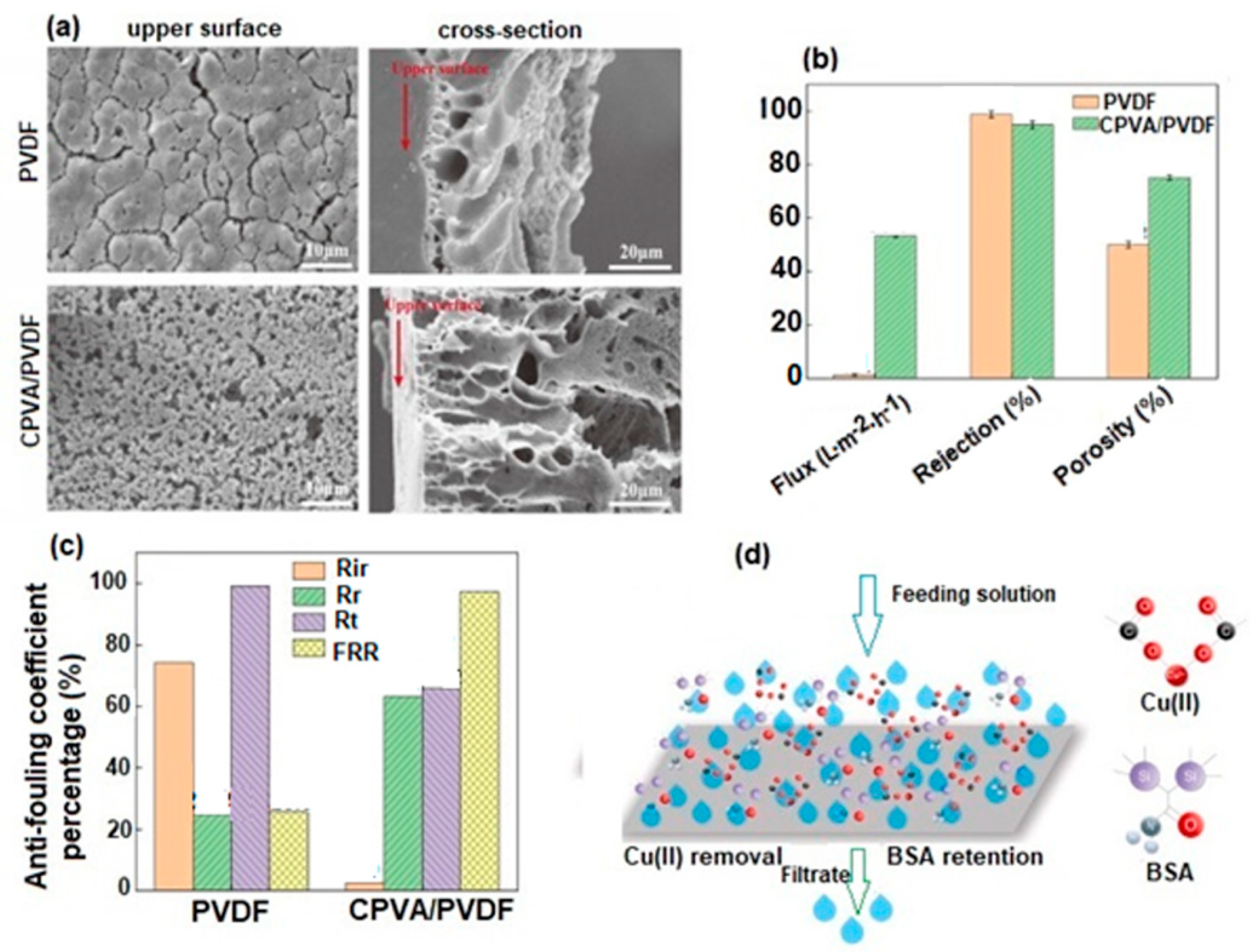 Polymers 17 01016 g013