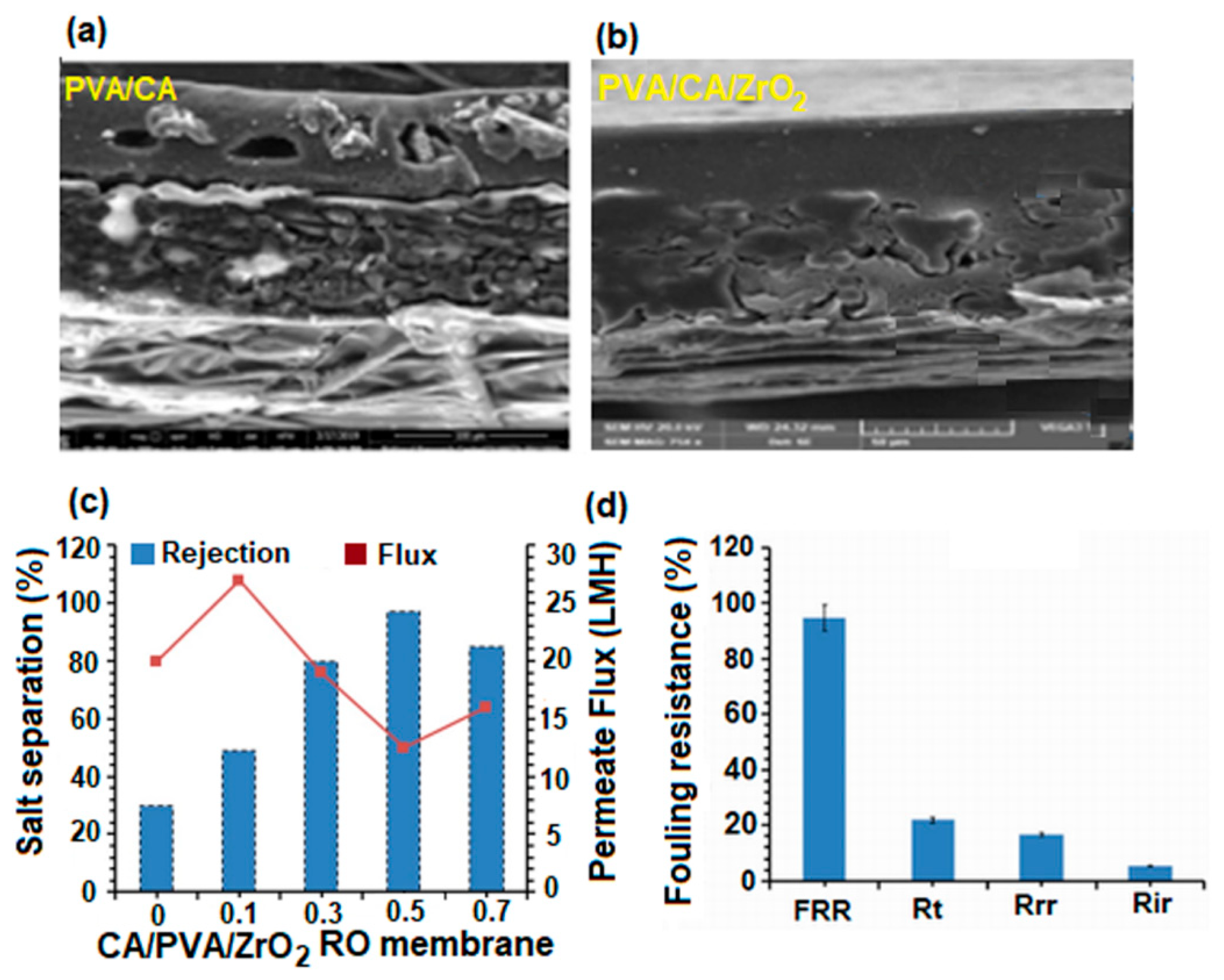 Polymers 17 01016 g014