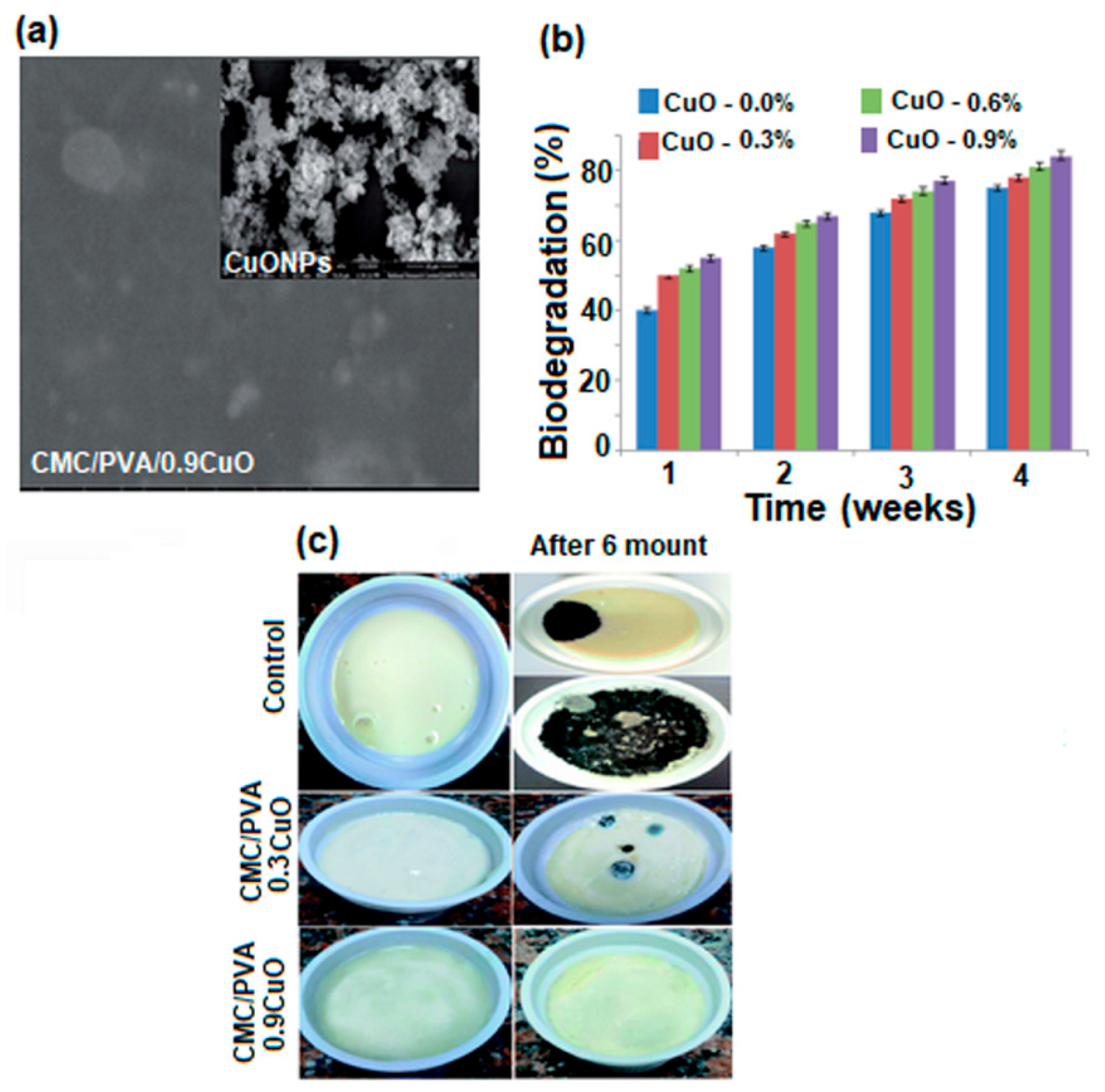 Polymers 17 01016 g016