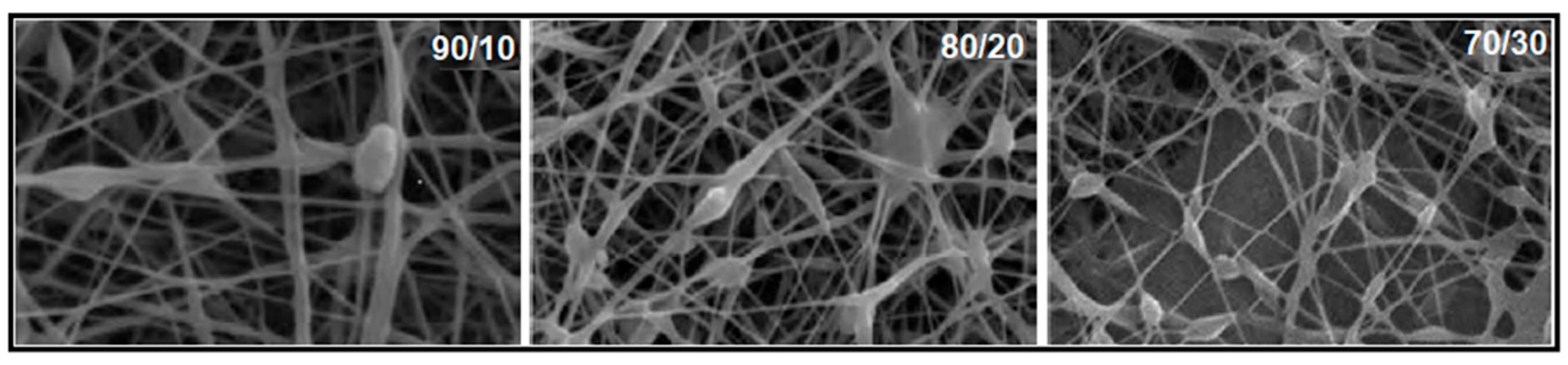 Polymers 17 01016 g019