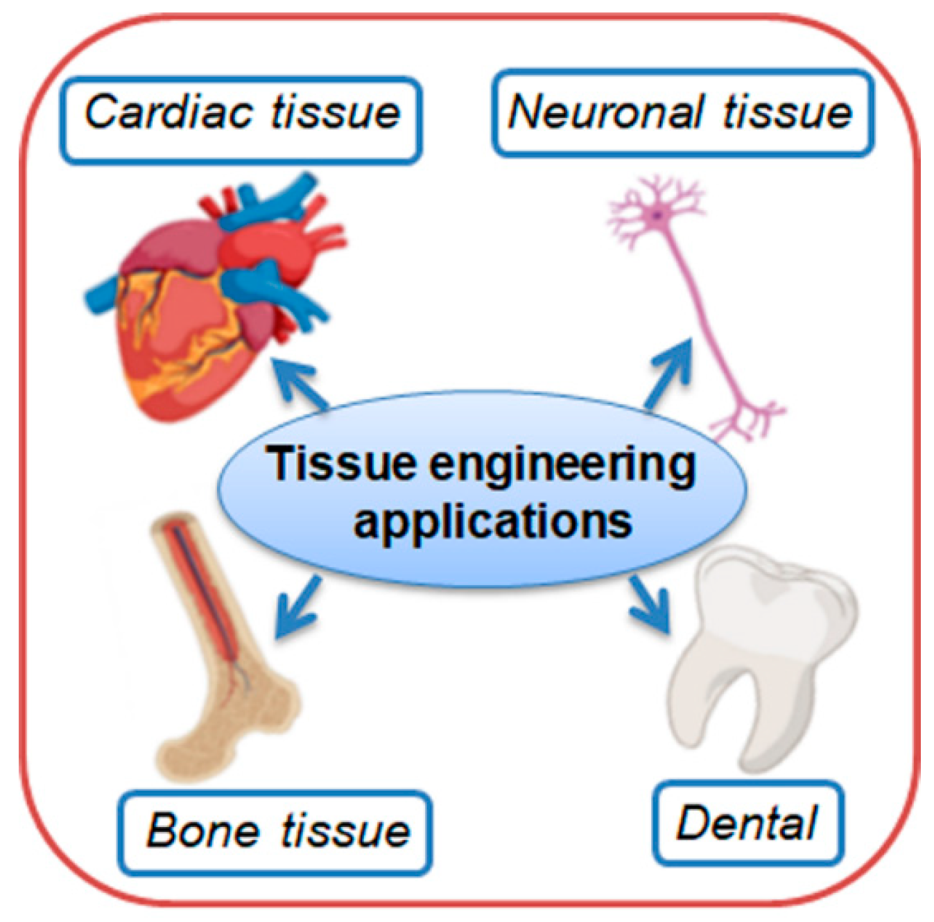 Polymers 17 01016 g021