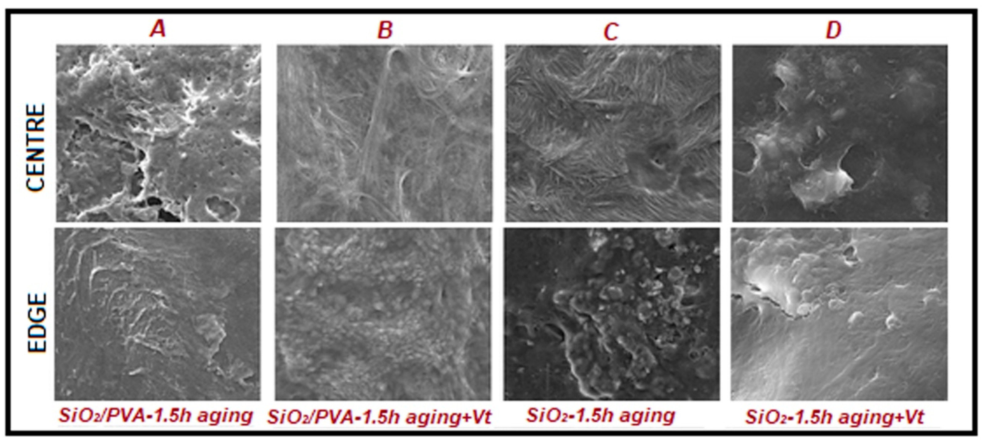 Polymers 17 01016 g024