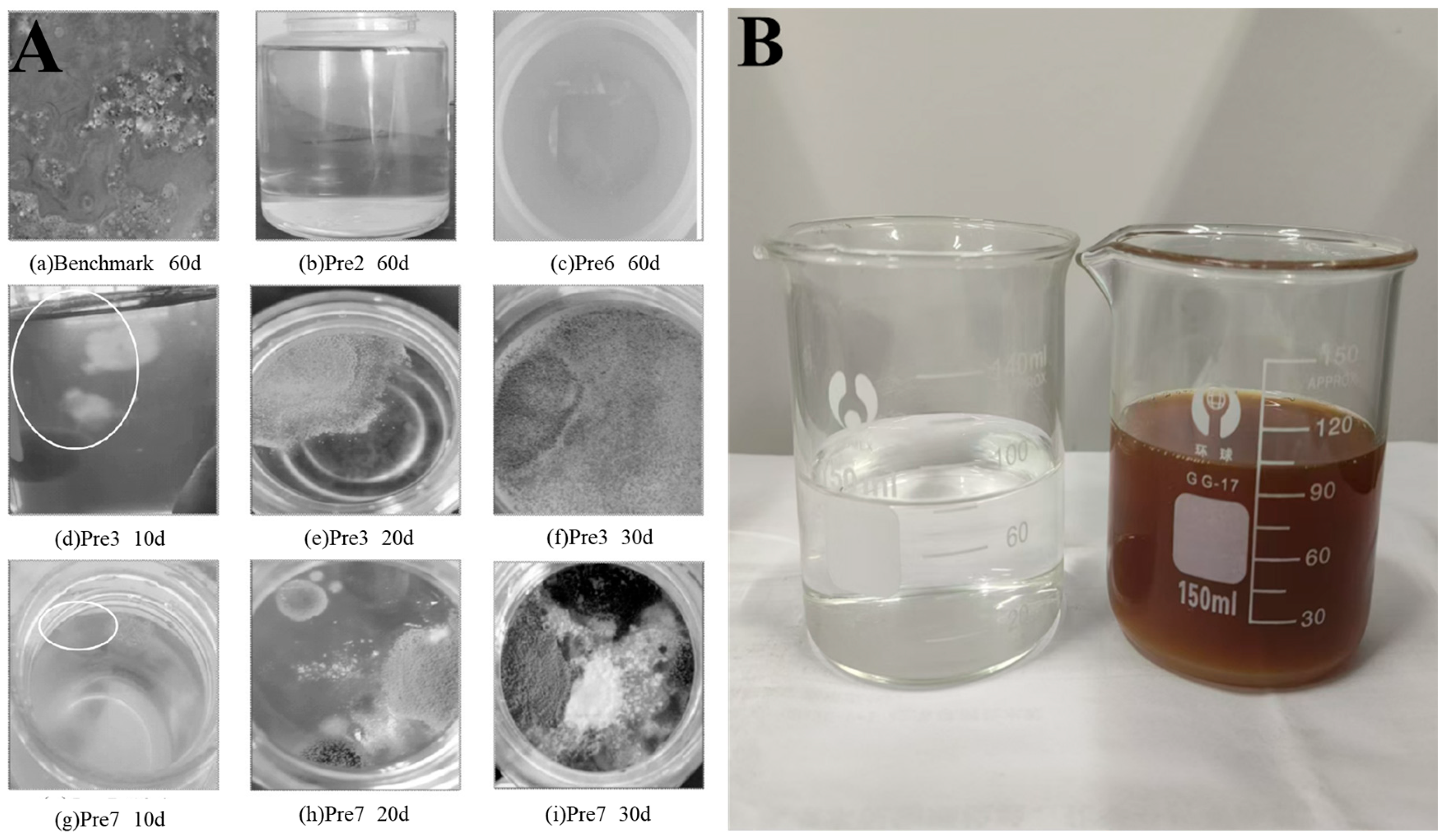 Polymers 17 01017 g001