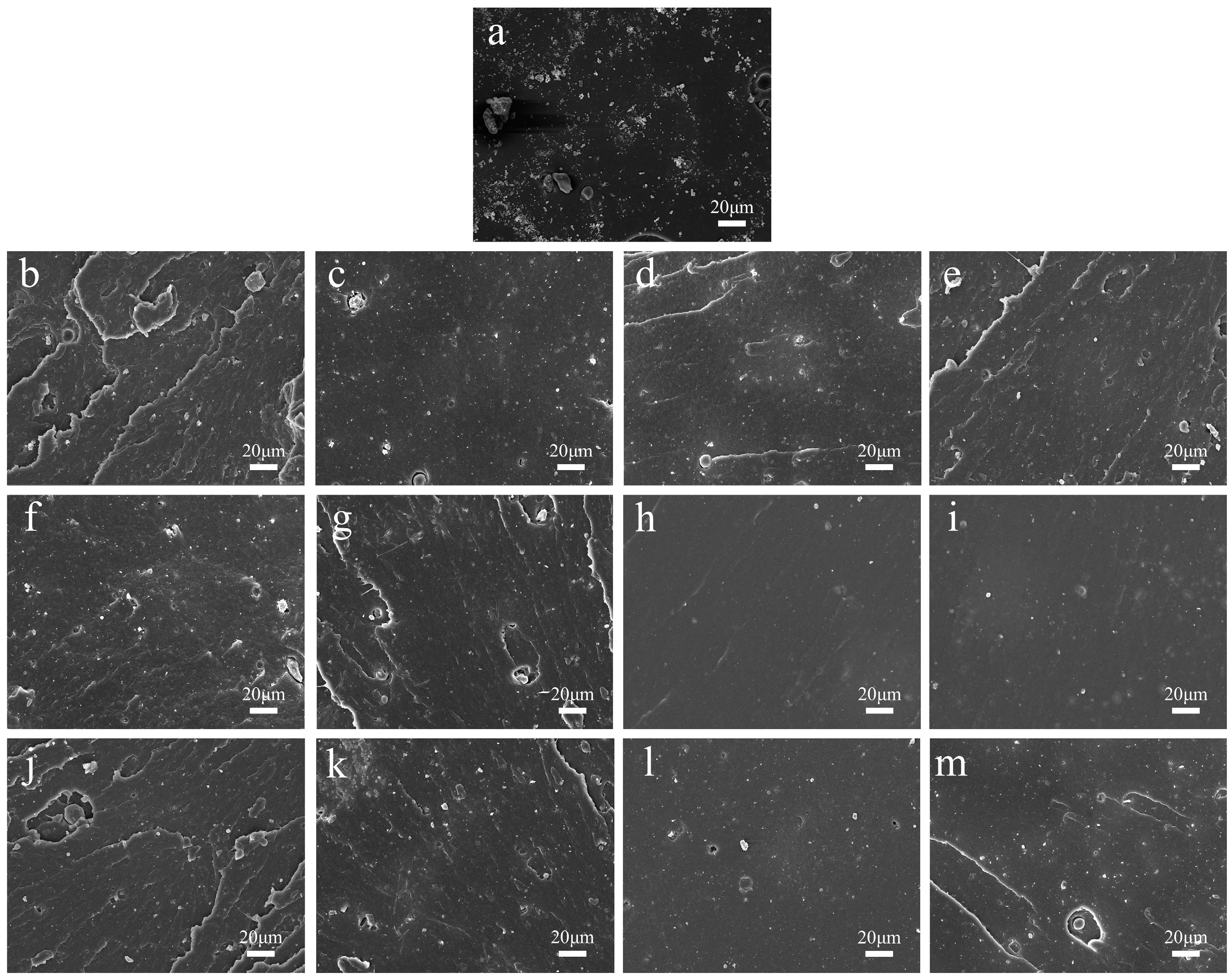 Polymers 17 01023 g001