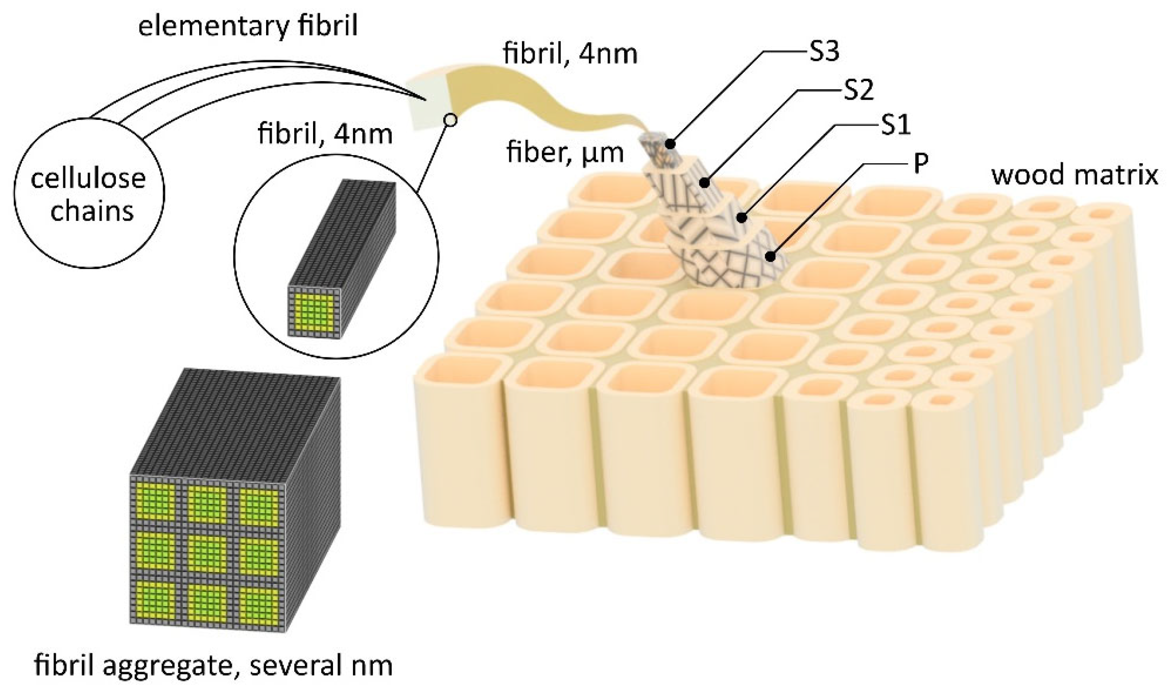 Polymers 17 01025 g001