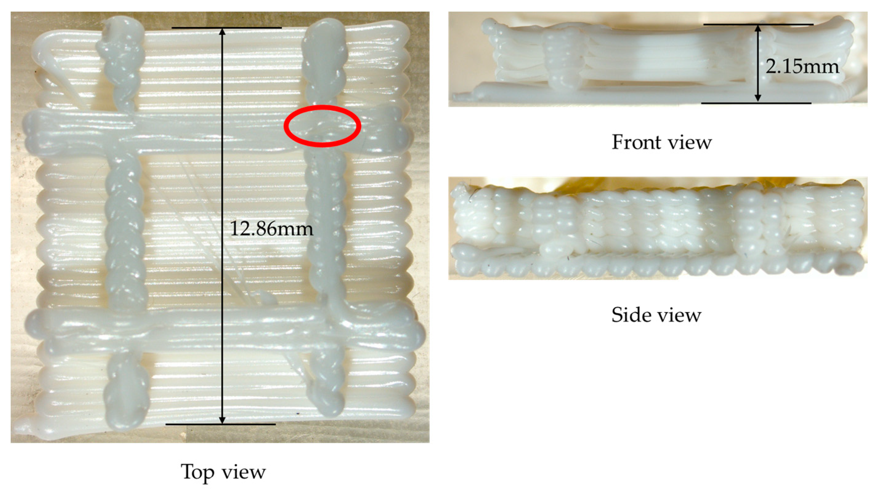 Polymers 17 01026 g029