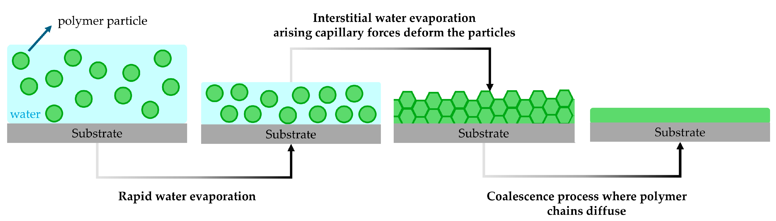 Polymers 17 01027 g004