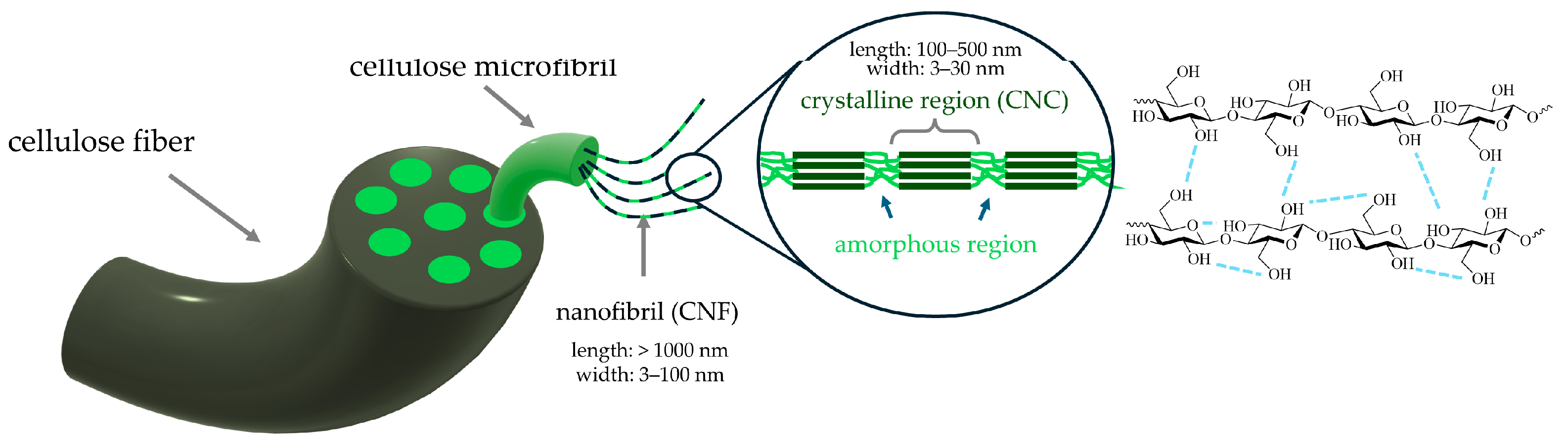 Polymers 17 01027 g010