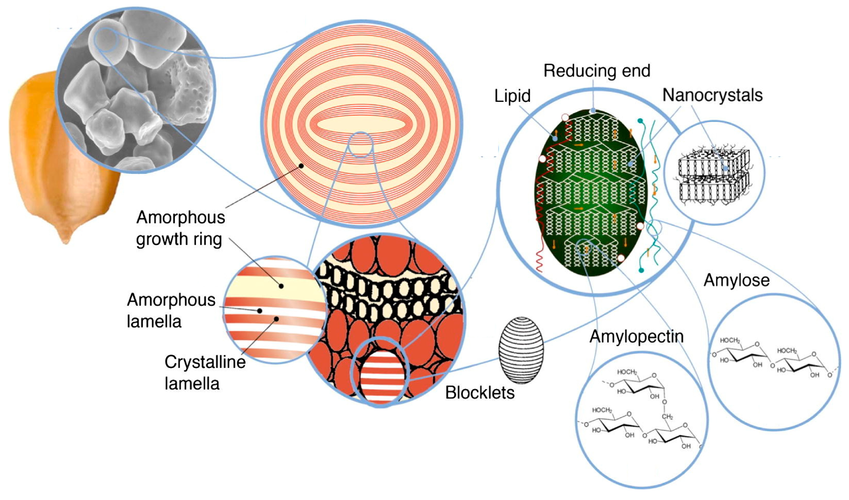 Polymers 17 01027 g011