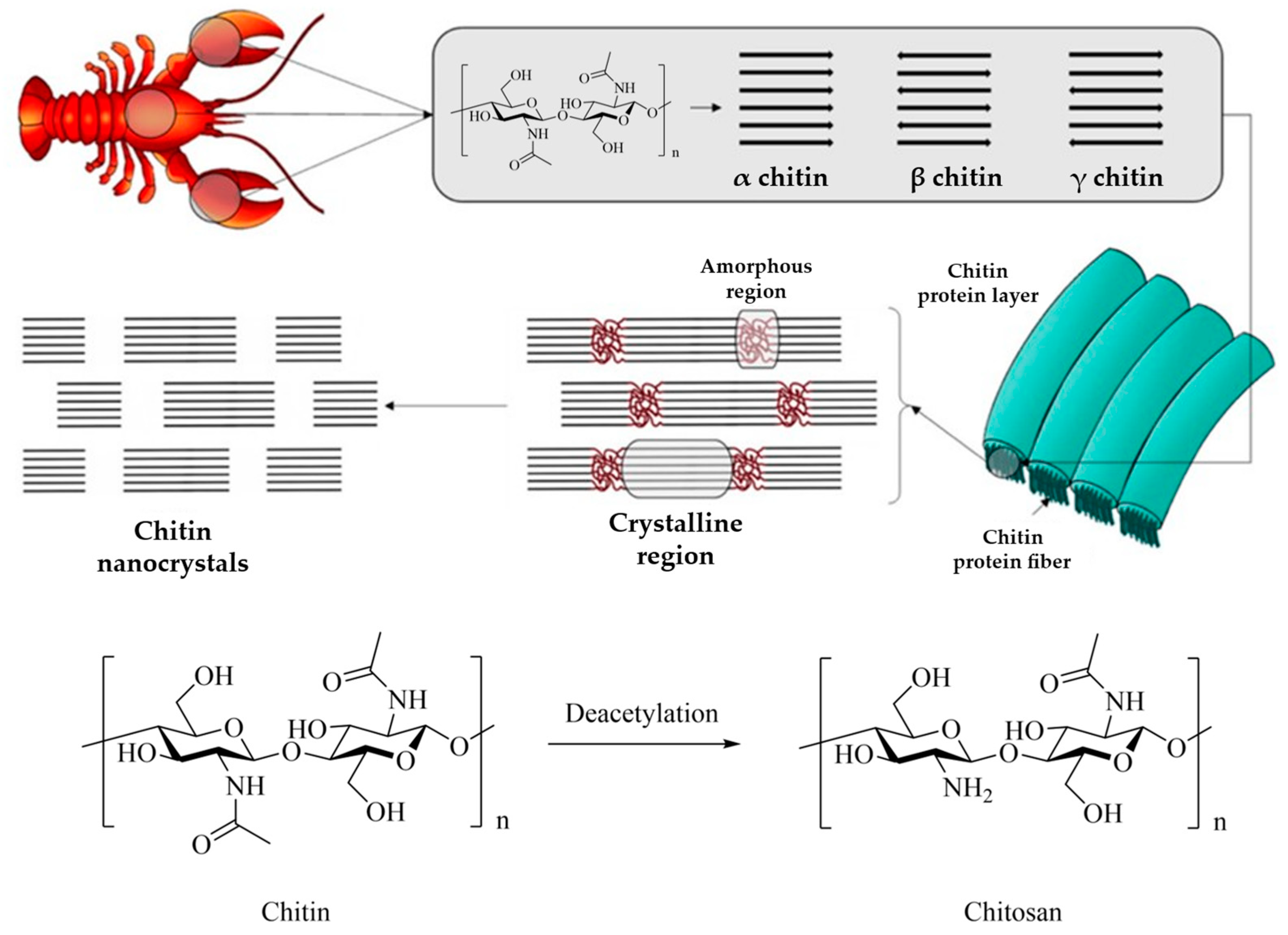 Polymers 17 01027 g012