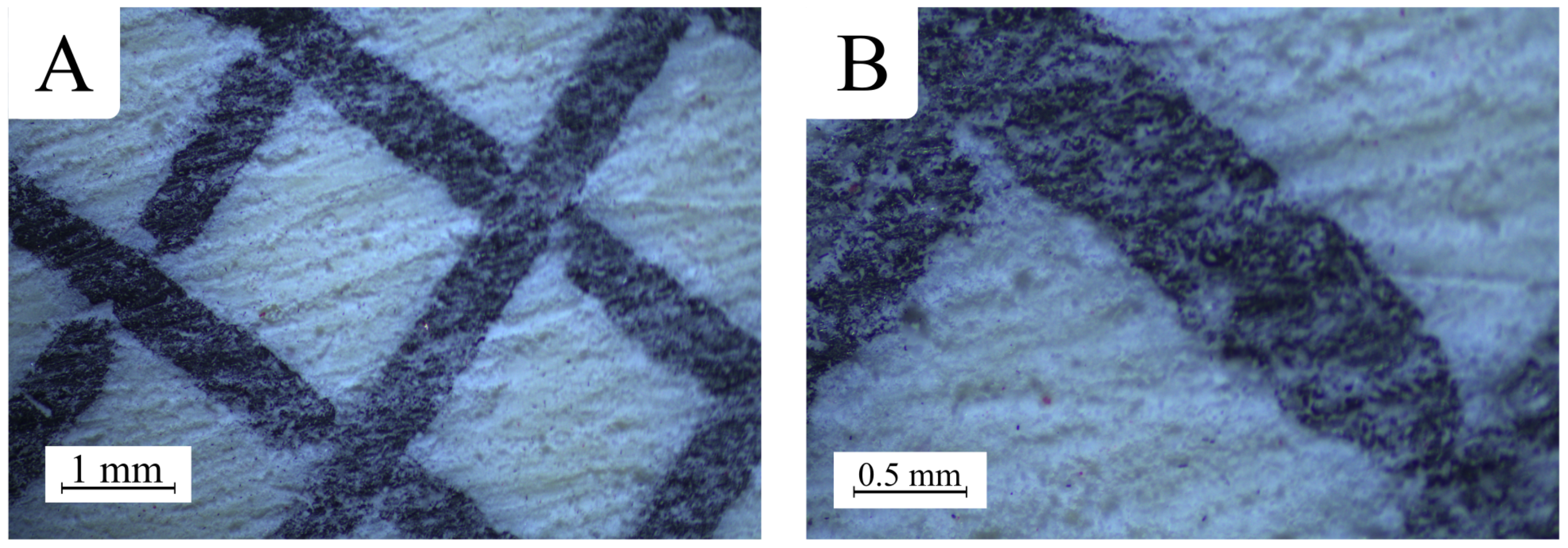 Polymers 17 01028 g005