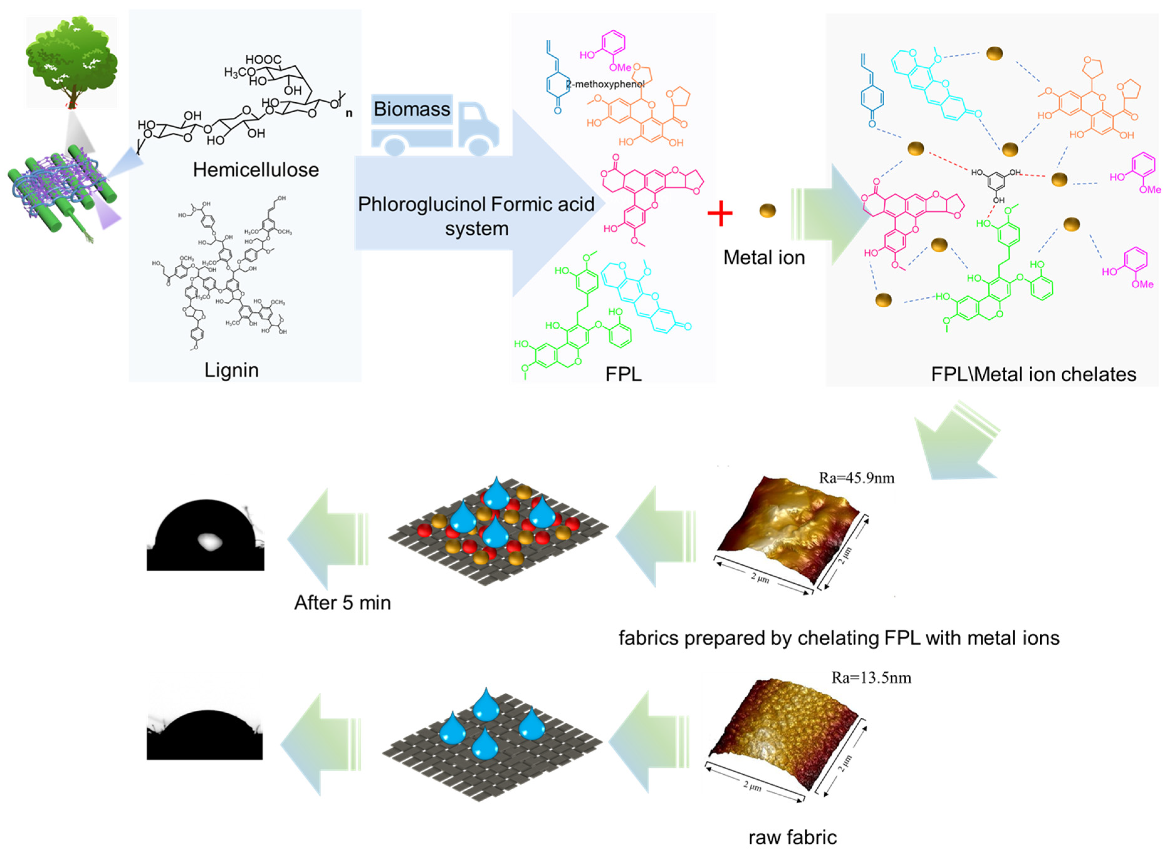 Polymers 17 01029 g002