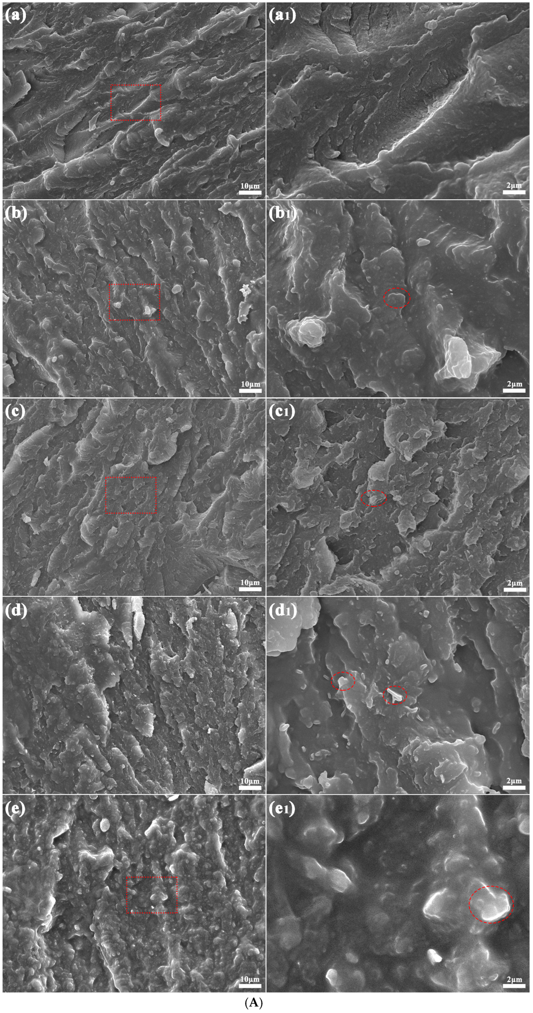 Polymers 17 01031 g003a