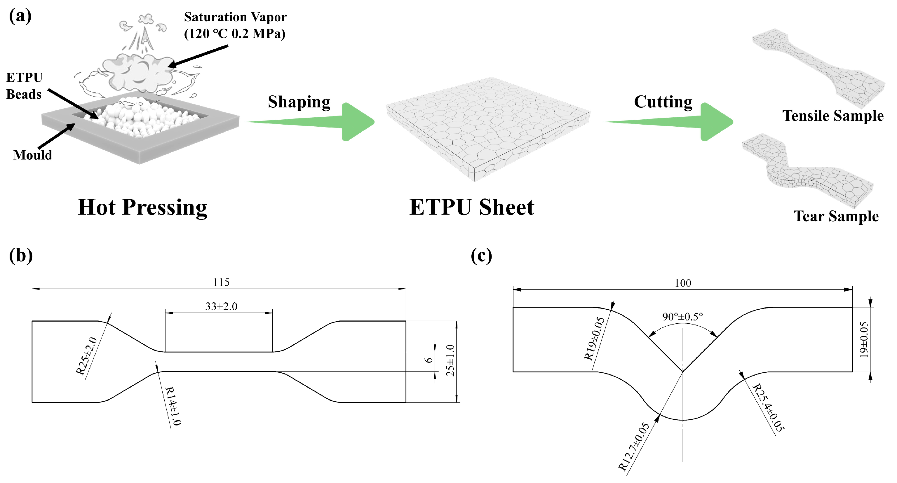 Polymers 17 01033 g002