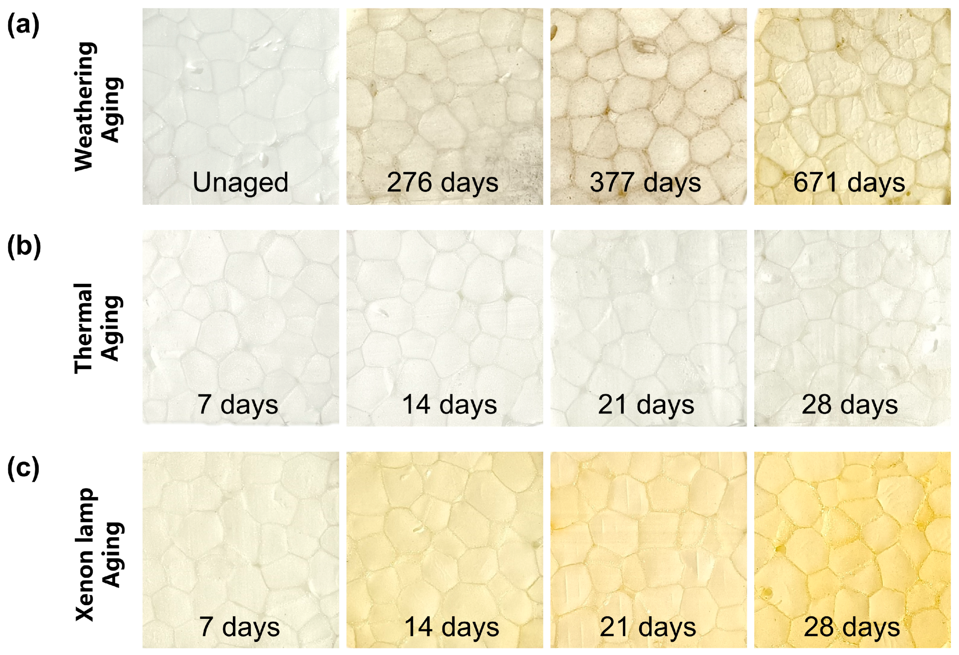 Polymers 17 01033 g004