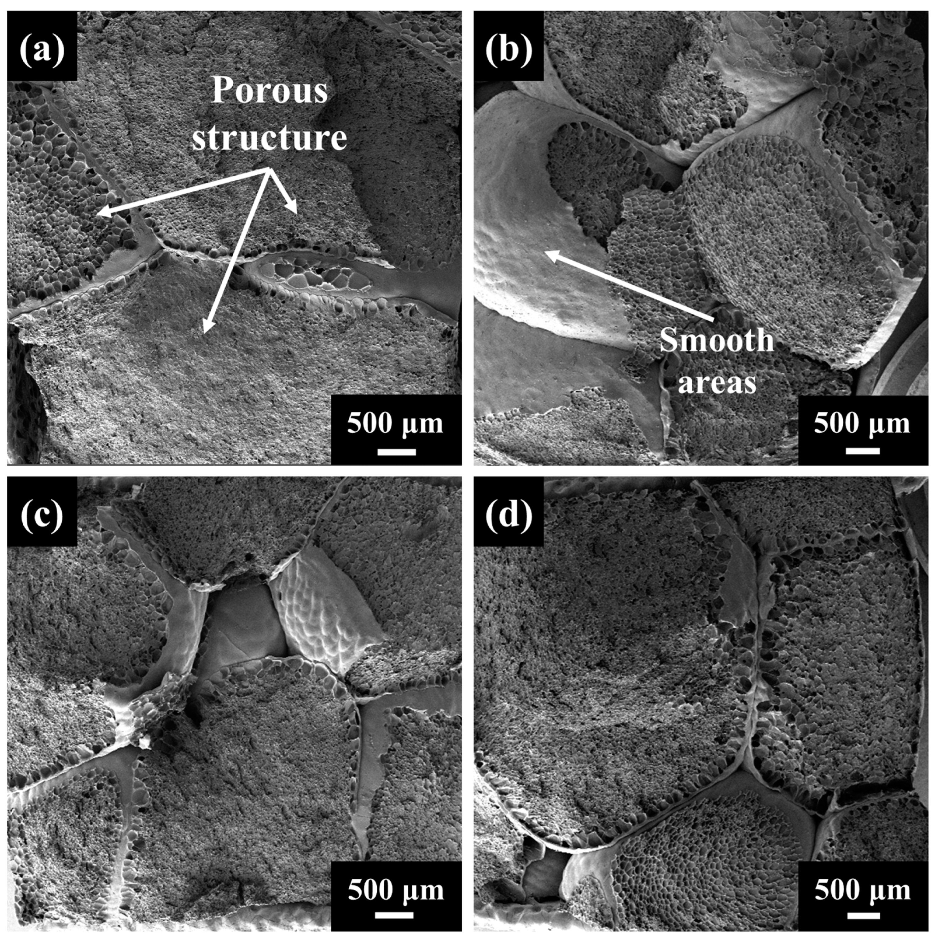 Polymers 17 01033 g009