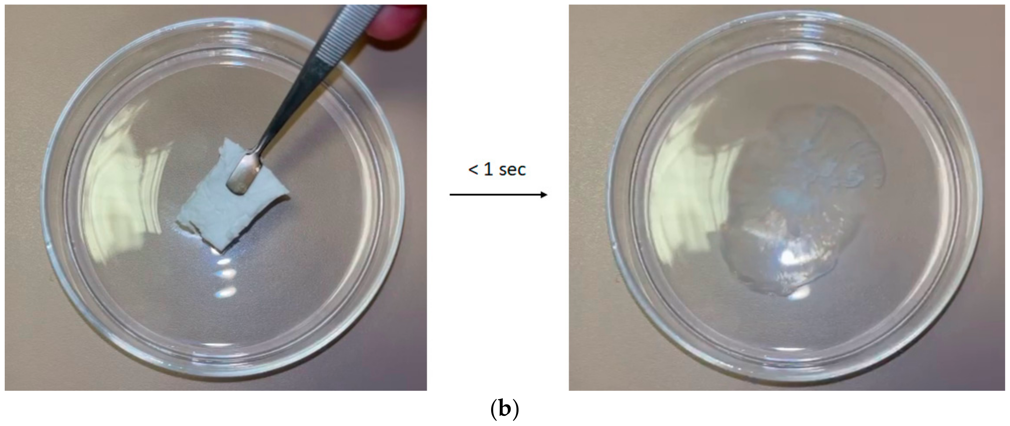 Polymers 17 01037 g008b Polymers 17 01037 g008b