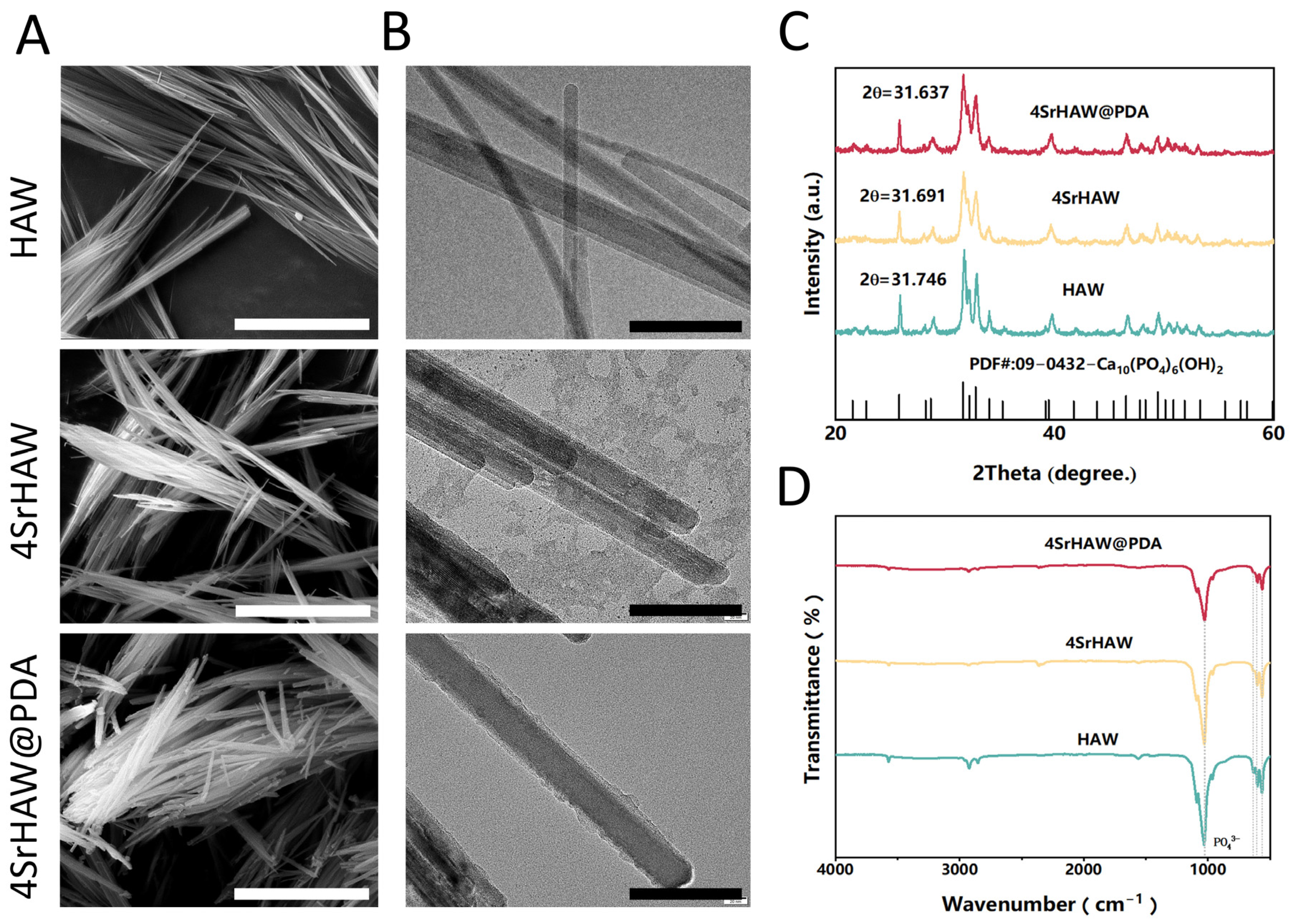 Polymers 17 01039 g002