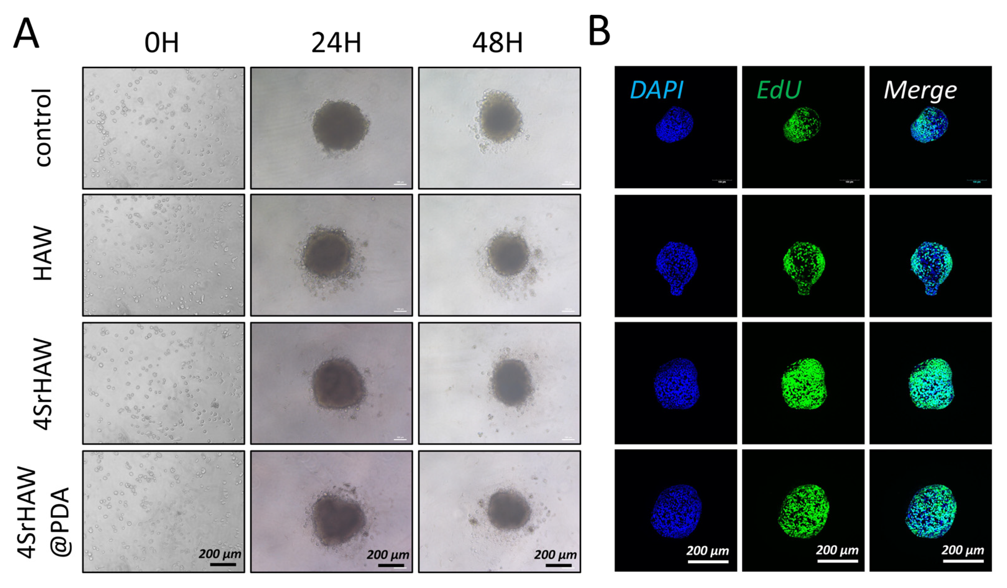 Polymers 17 01039 g005