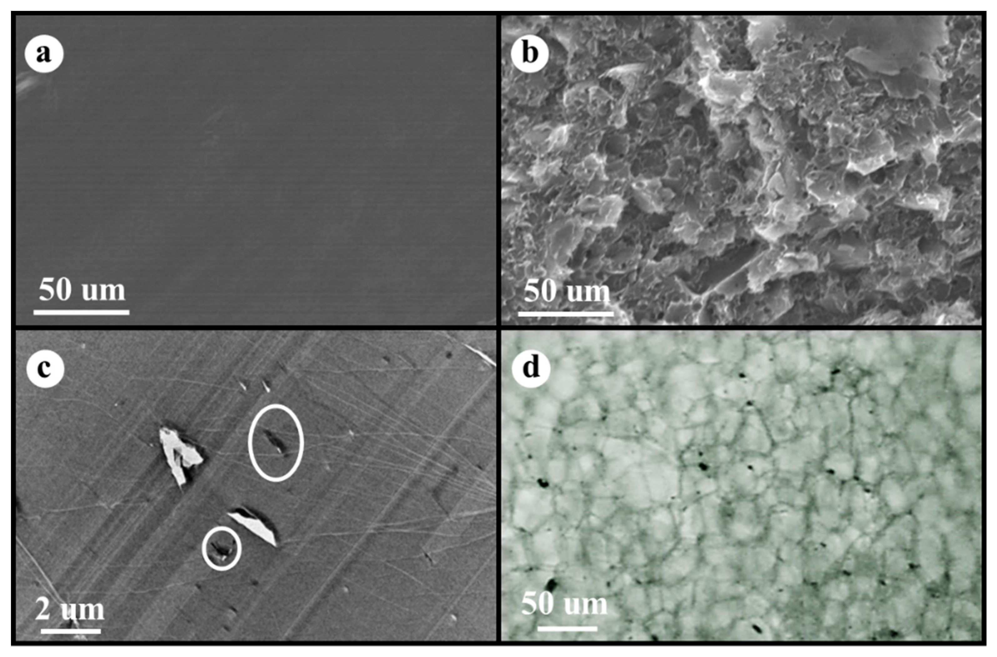 Polymers 17 01040 g001