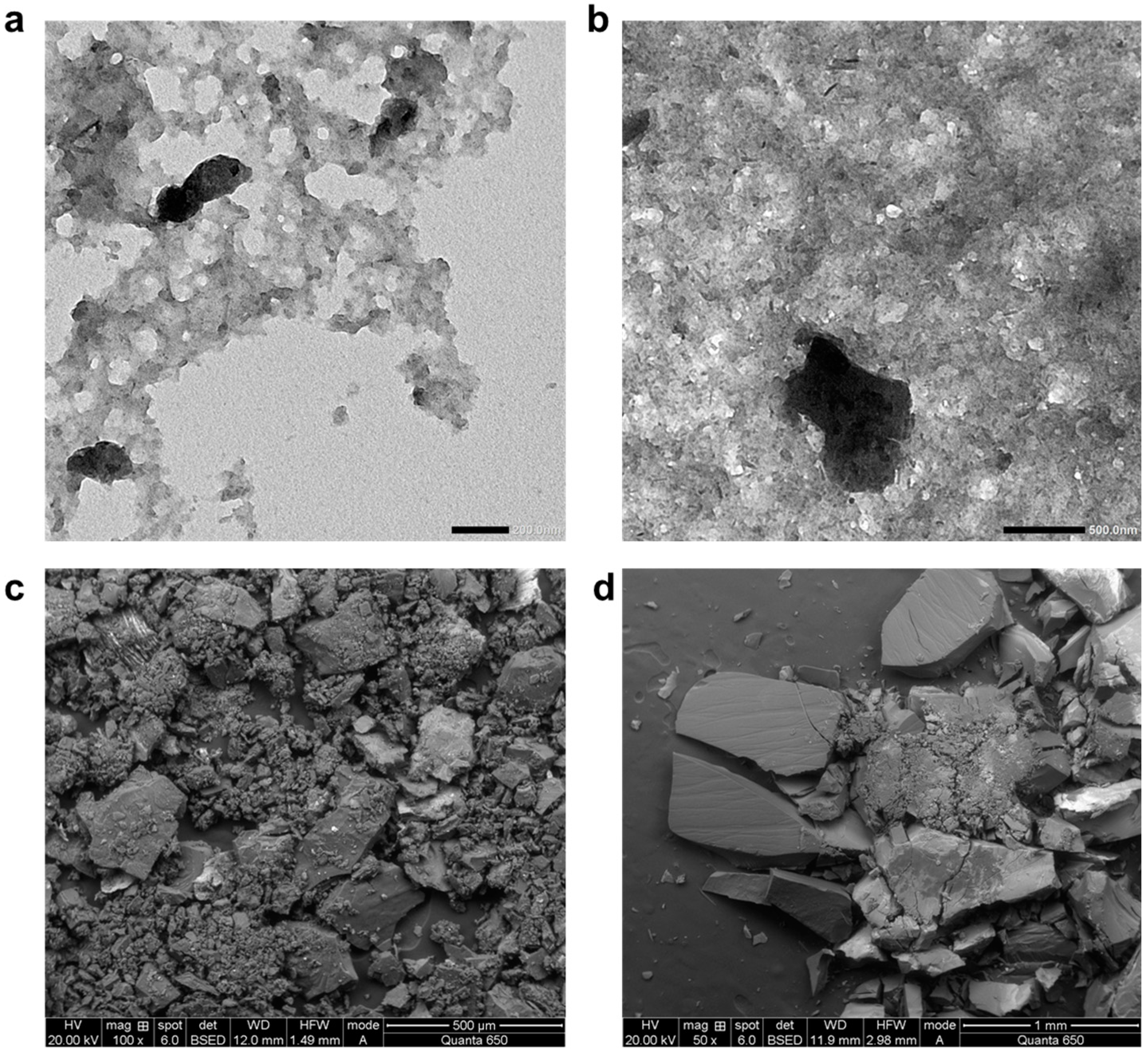 Polymers 17 01041 g002
