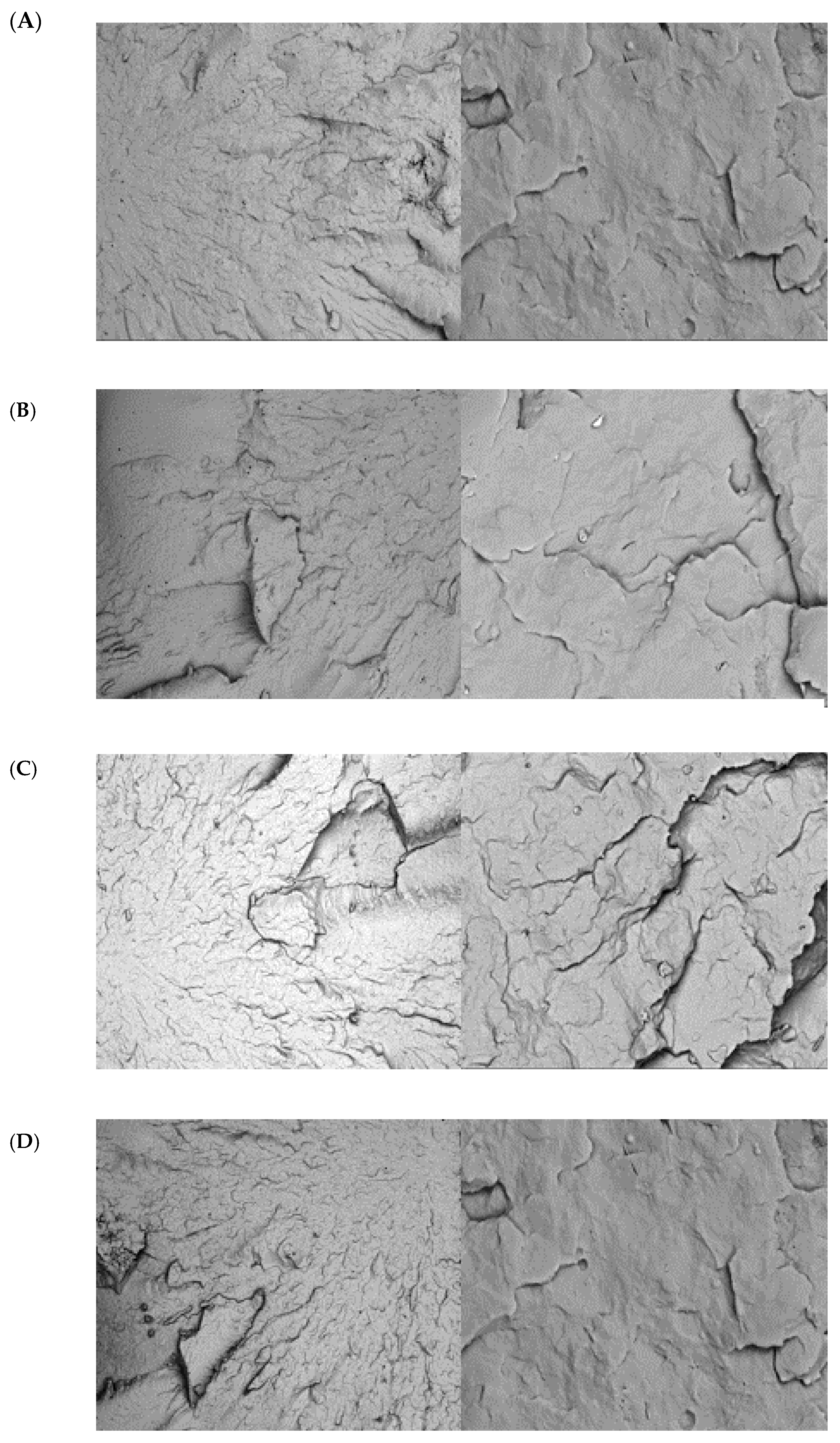 Polymers 17 01042 g008