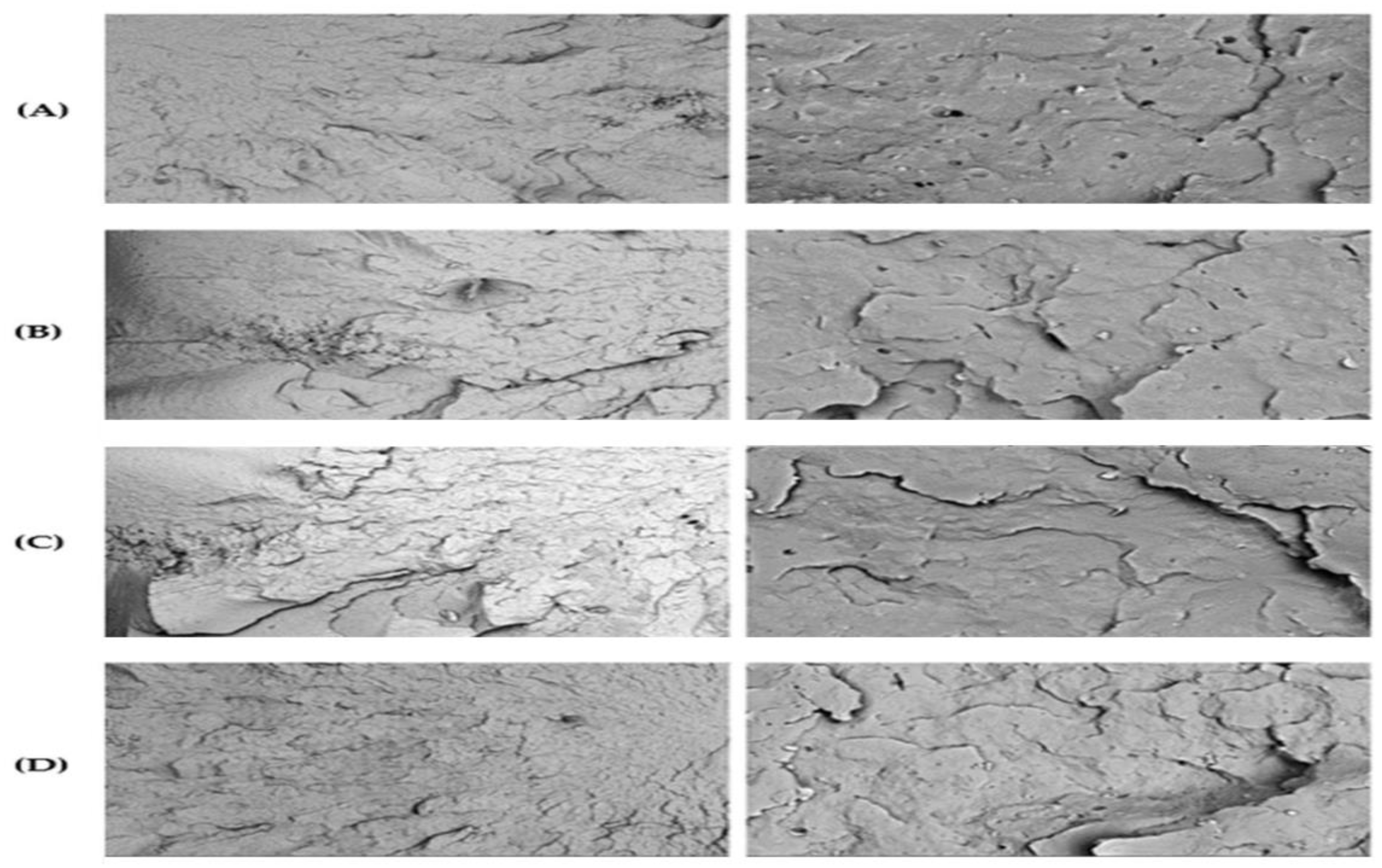 Polymers 17 01042 g009