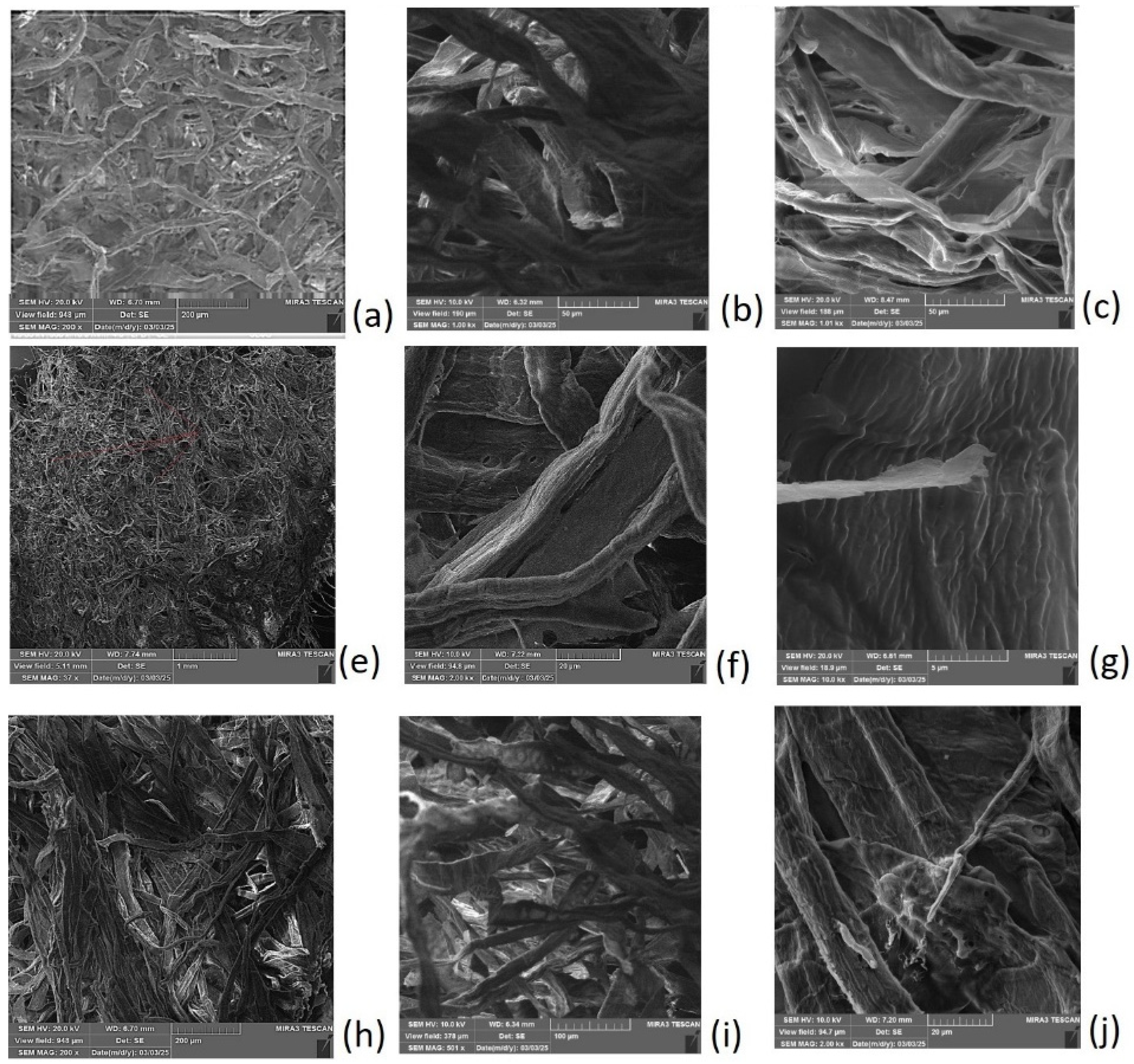 Polymers 17 01043 g011
