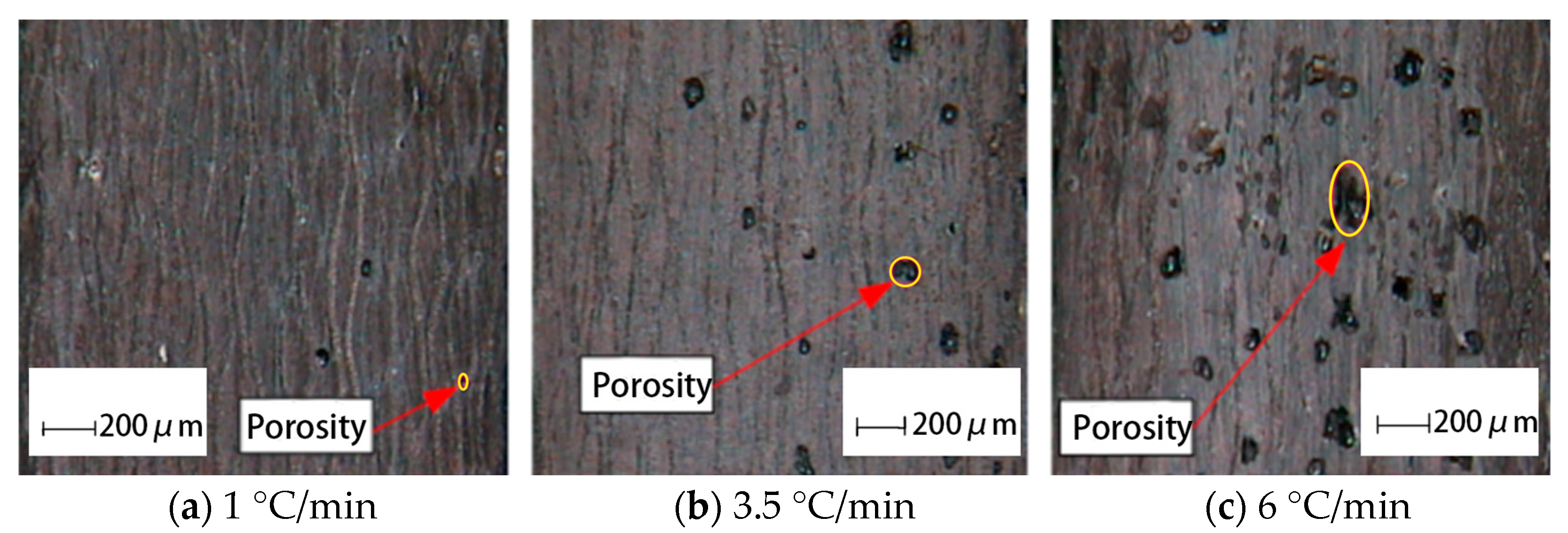 Polymers 17 01045 g011