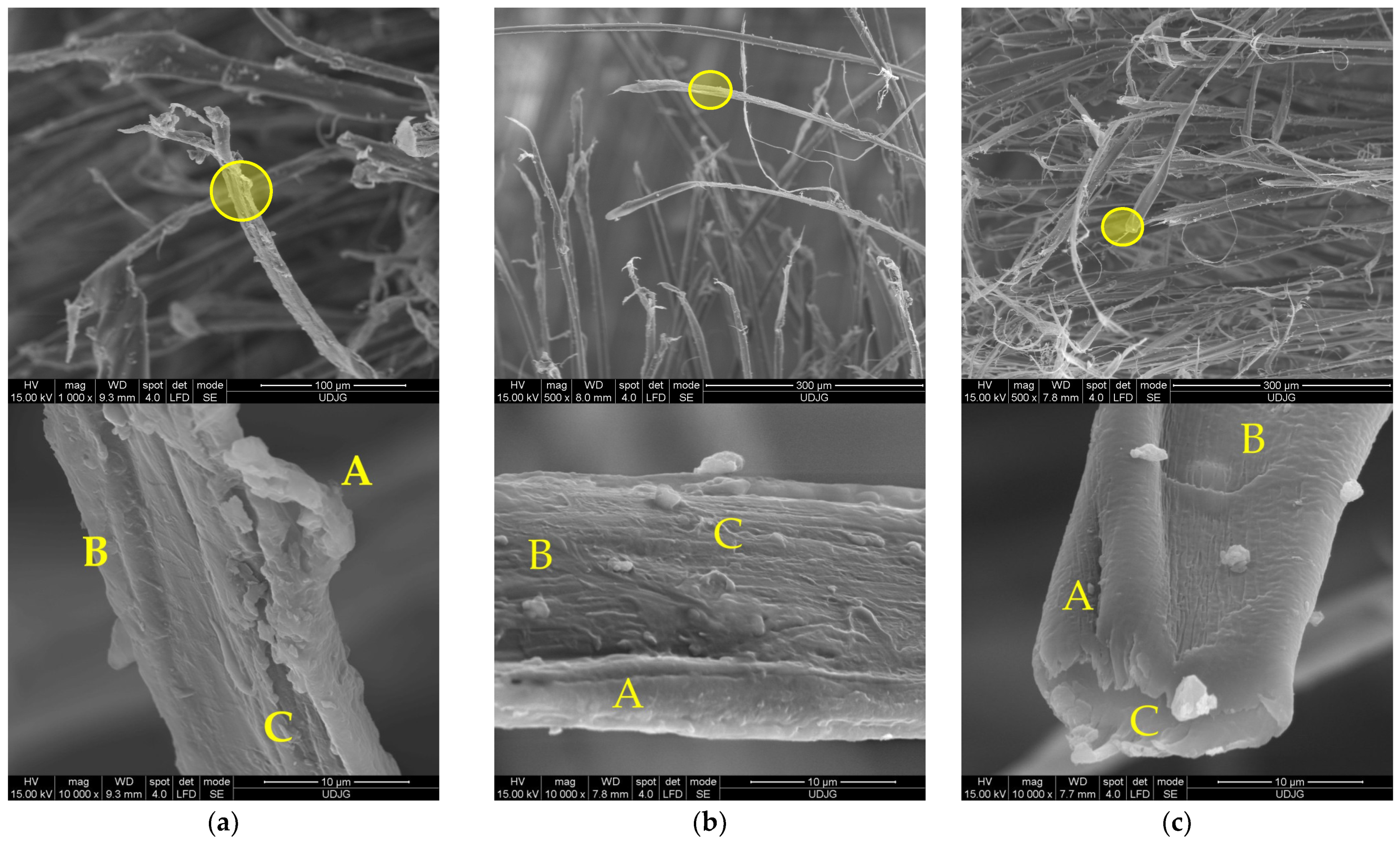 Polymers 17 01058 g009