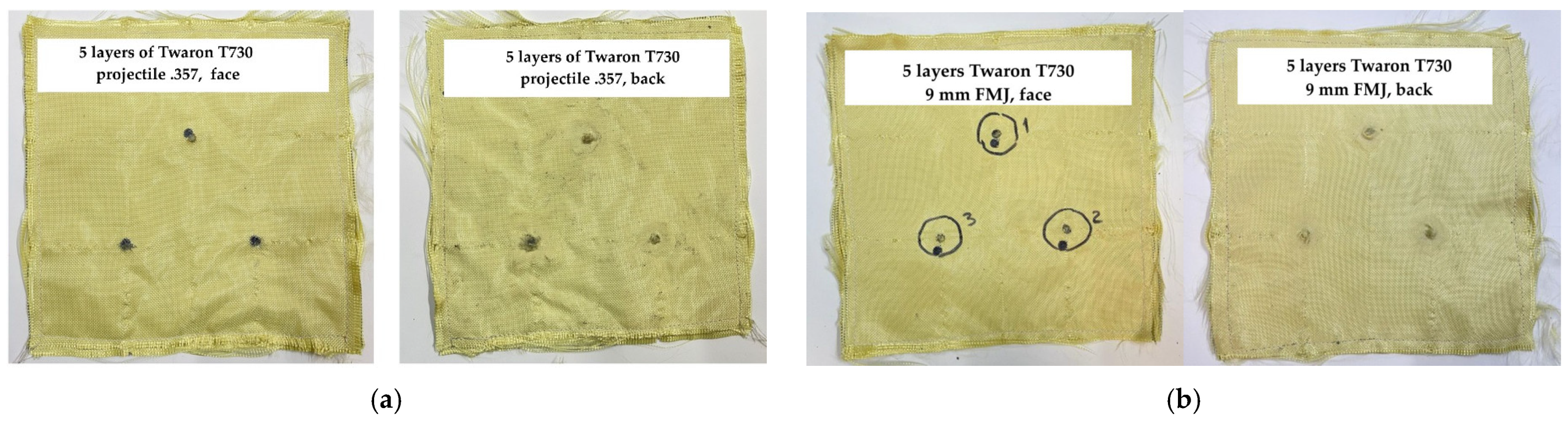 Polymers 17 01058 g010