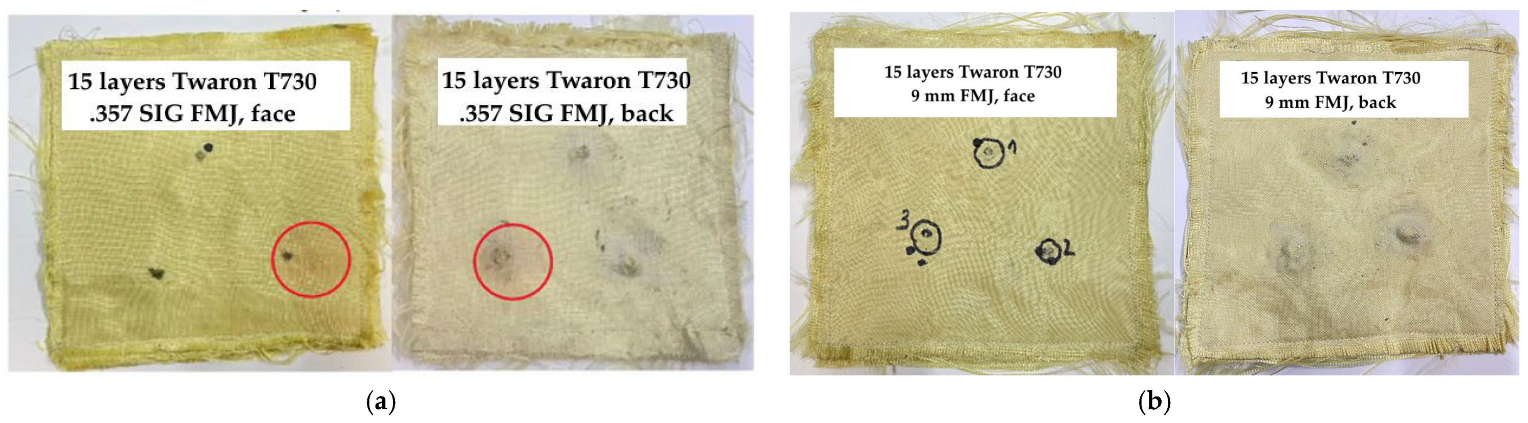 Polymers 17 01058 g011