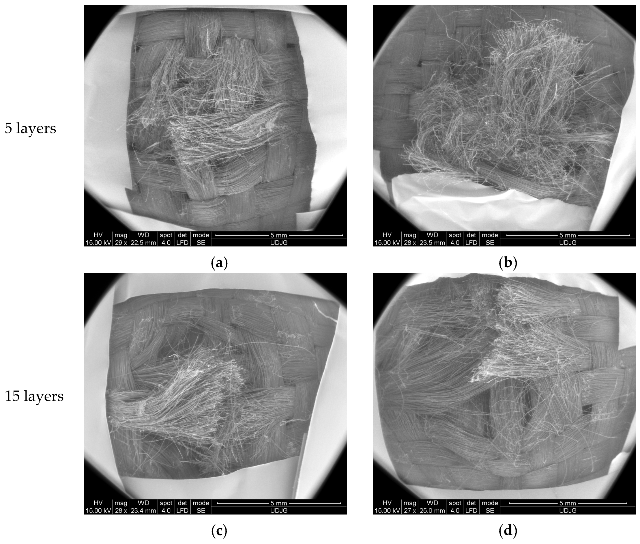 Polymers 17 01058 g012