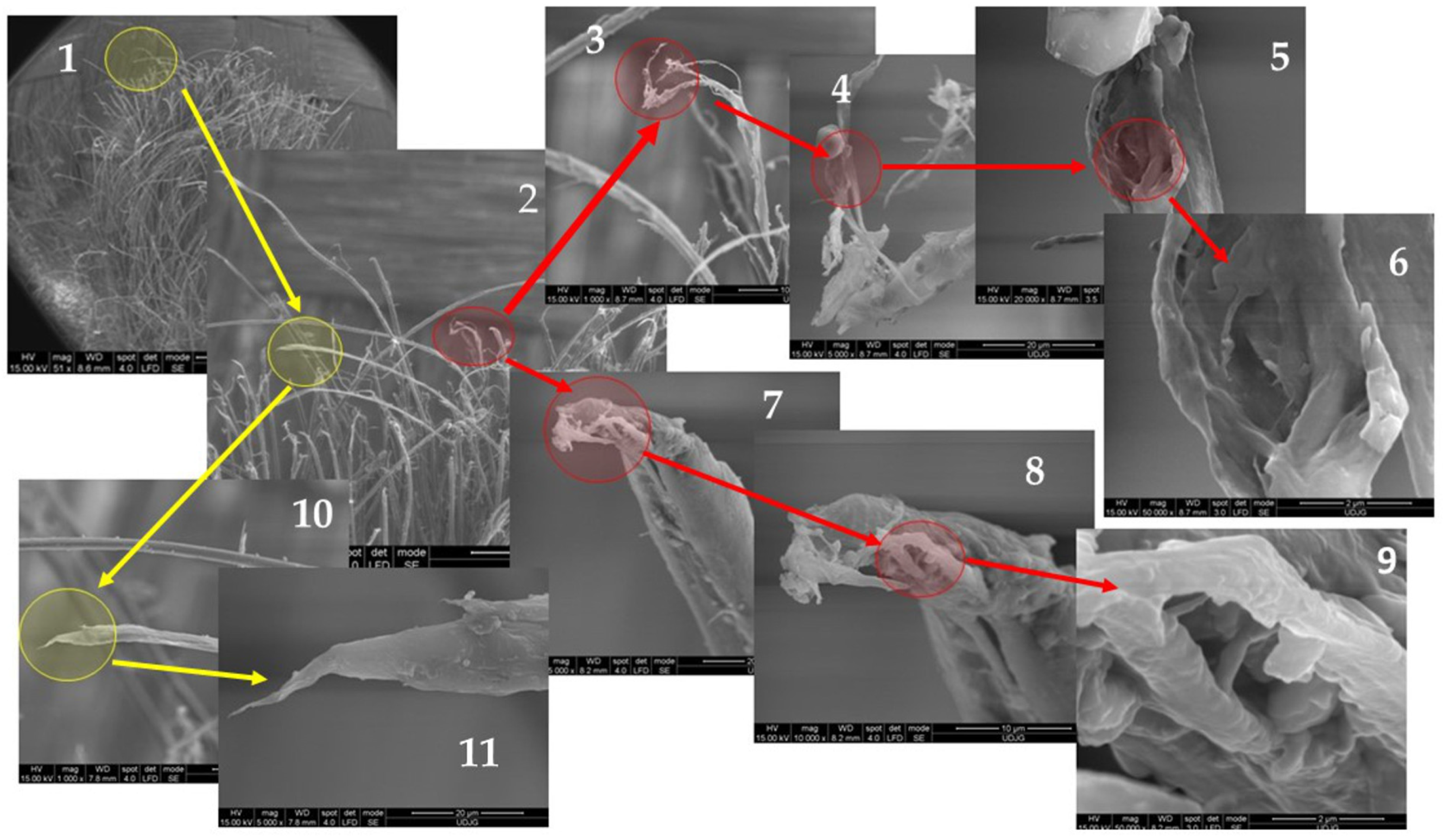 Polymers 17 01058 g013