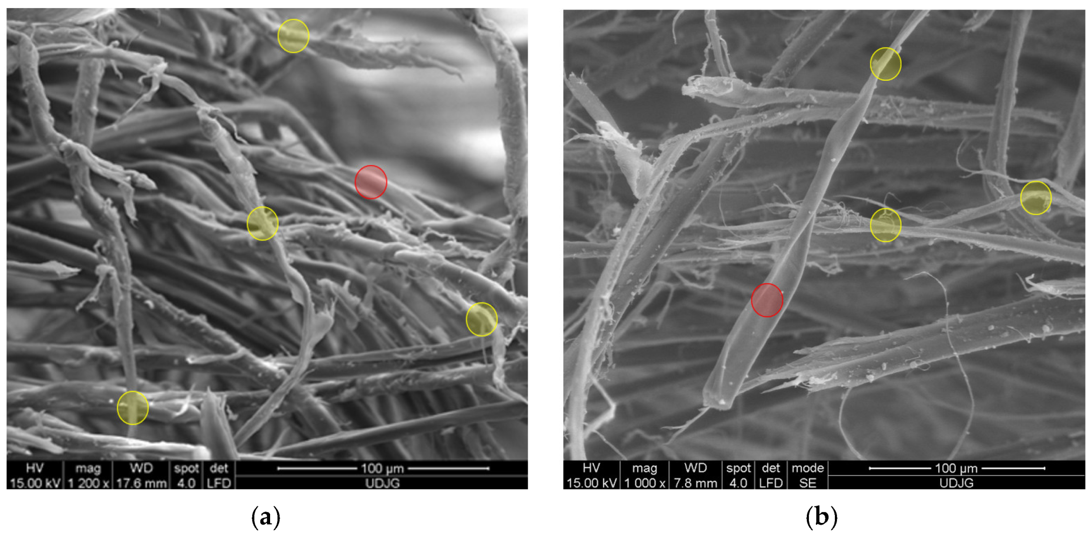 Polymers 17 01058 g014