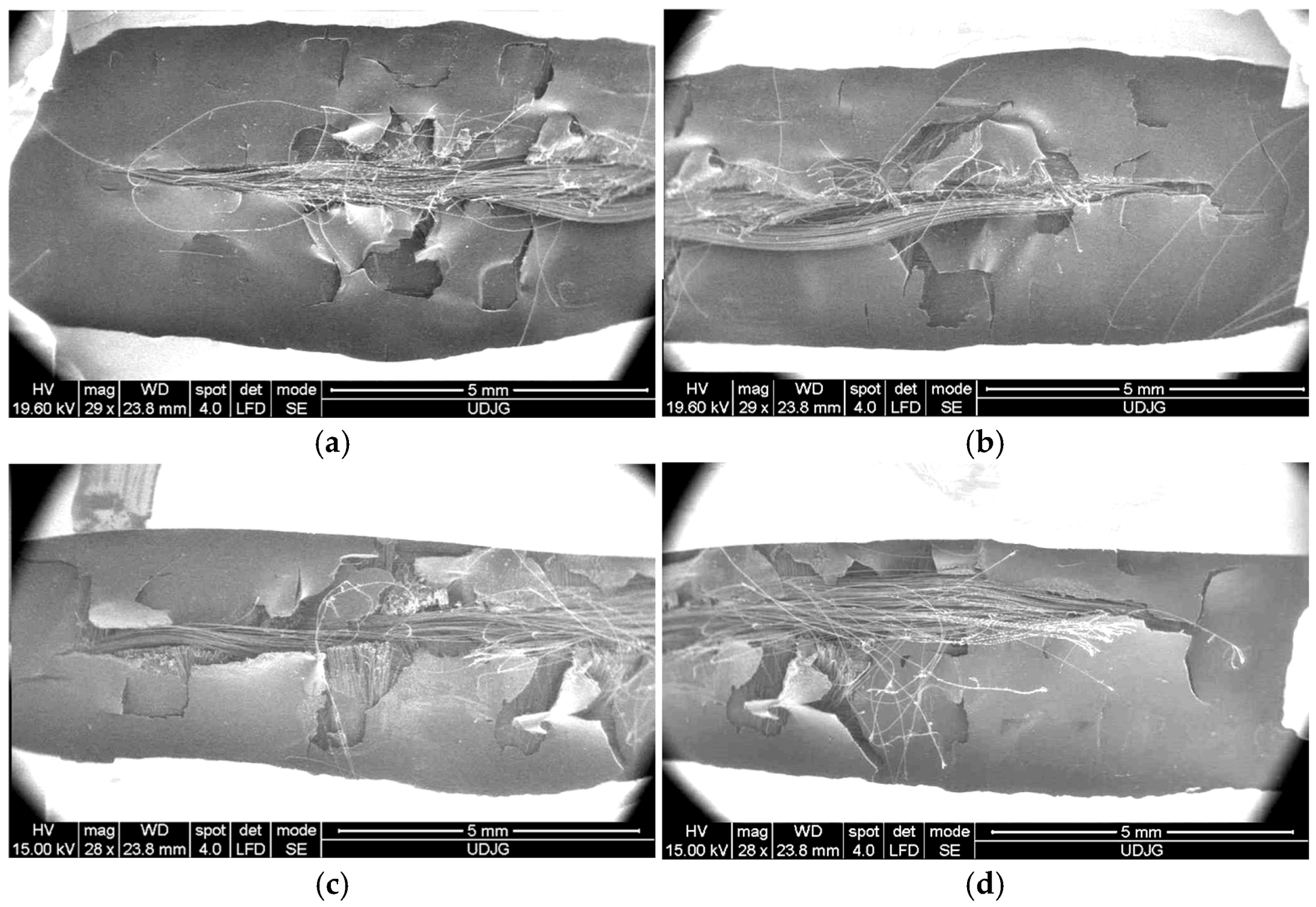 Polymers 17 01058 g016