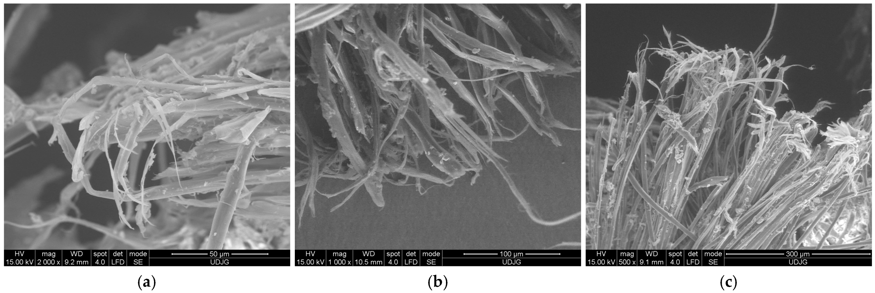 Polymers 17 01058 g019