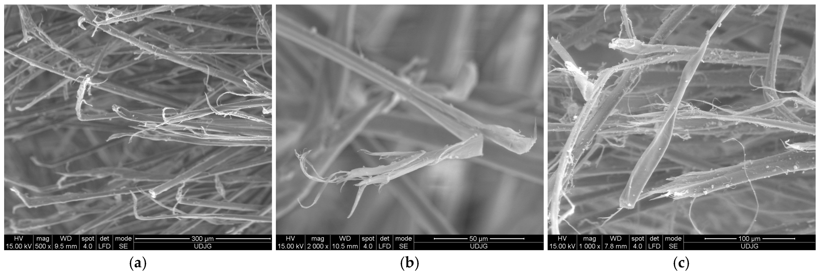 Polymers 17 01058 g020