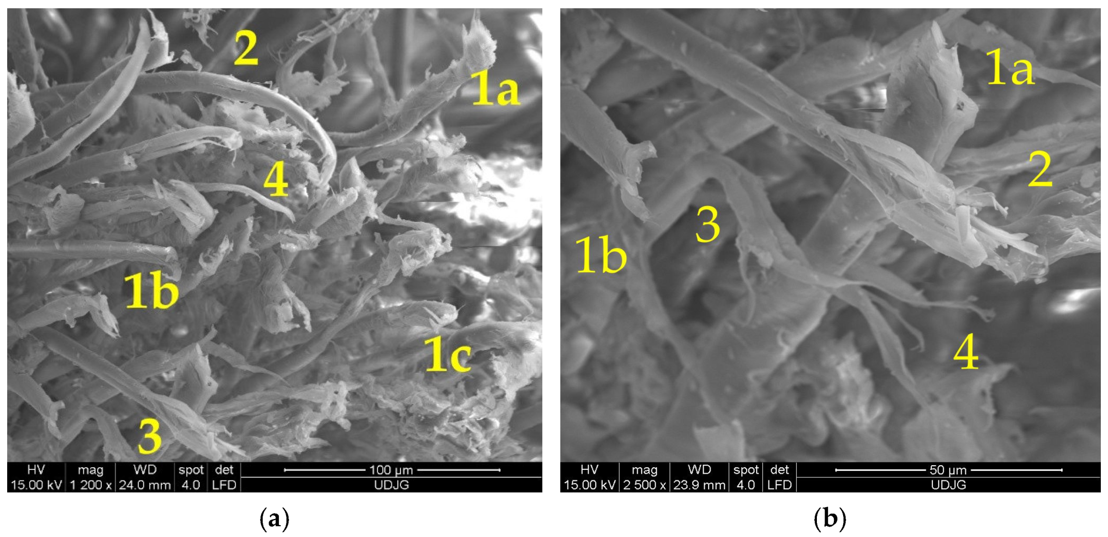 Polymers 17 01058 g023