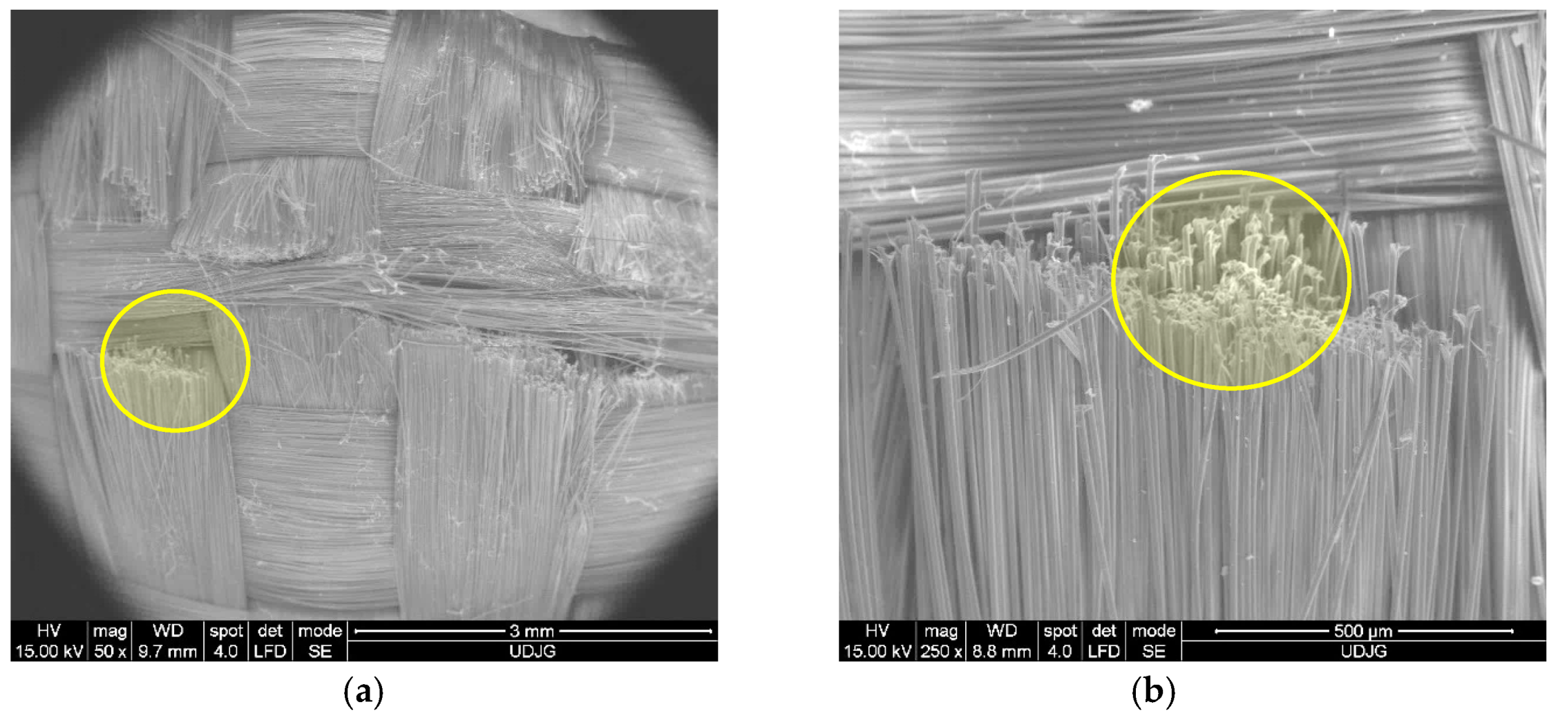 Polymers 17 01058 g024a